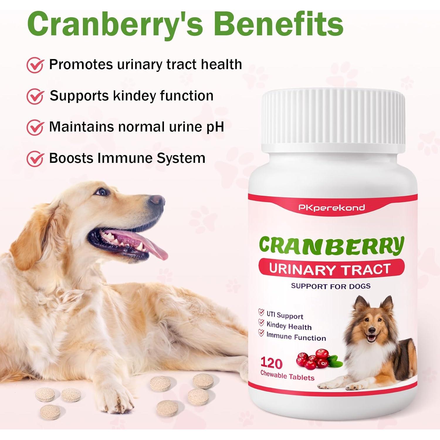 Tabletas Masticables de Arándano PKperekond para Perros 120 Unidades