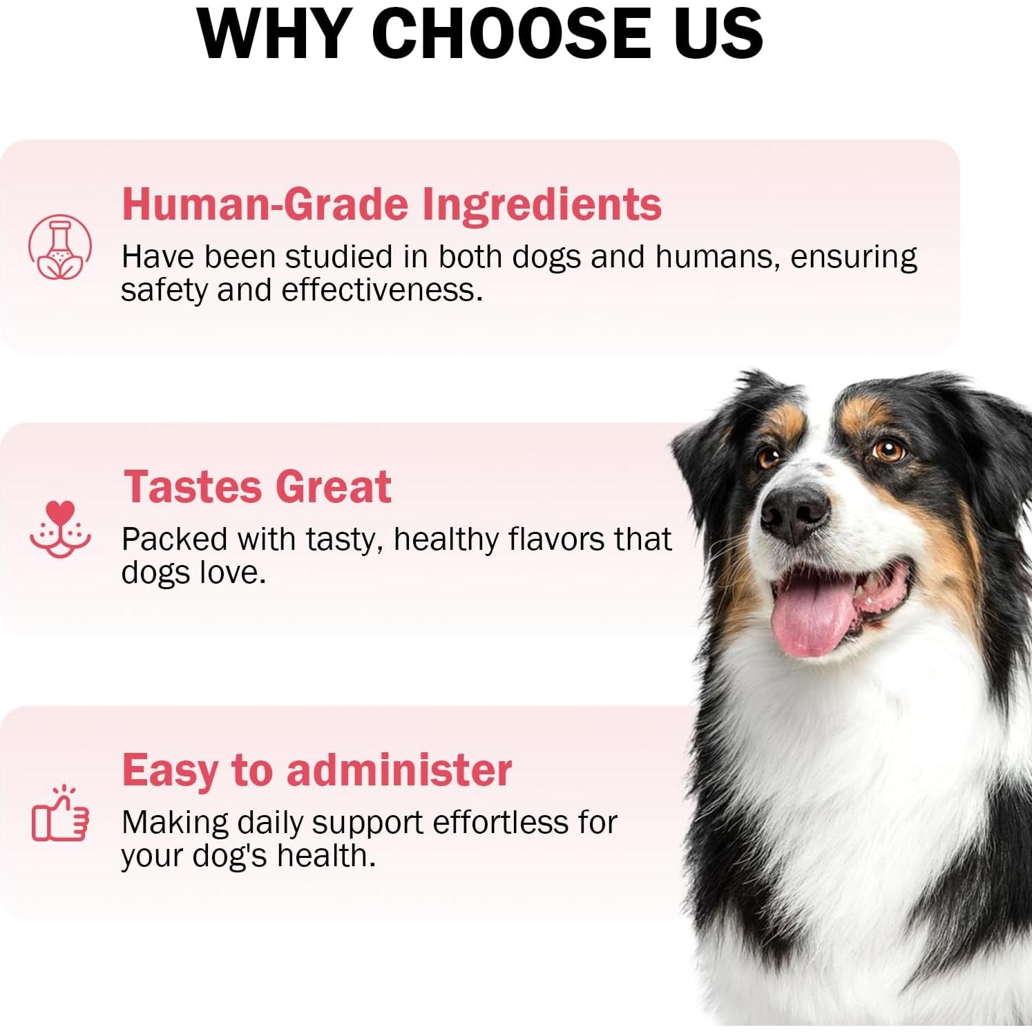 Tabletas Masticables de Arándano PKperekond para Perros 120 Unidades