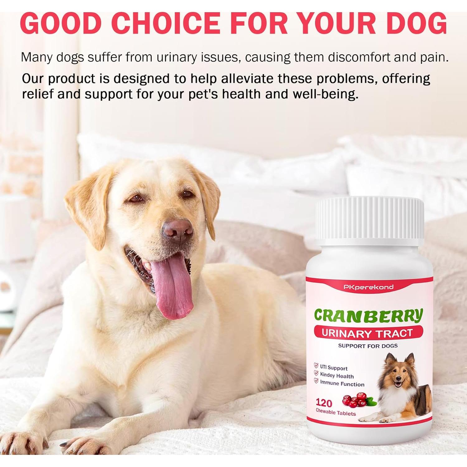 Tabletas Masticables de Arándano PKperekond para Perros 120 Unidades