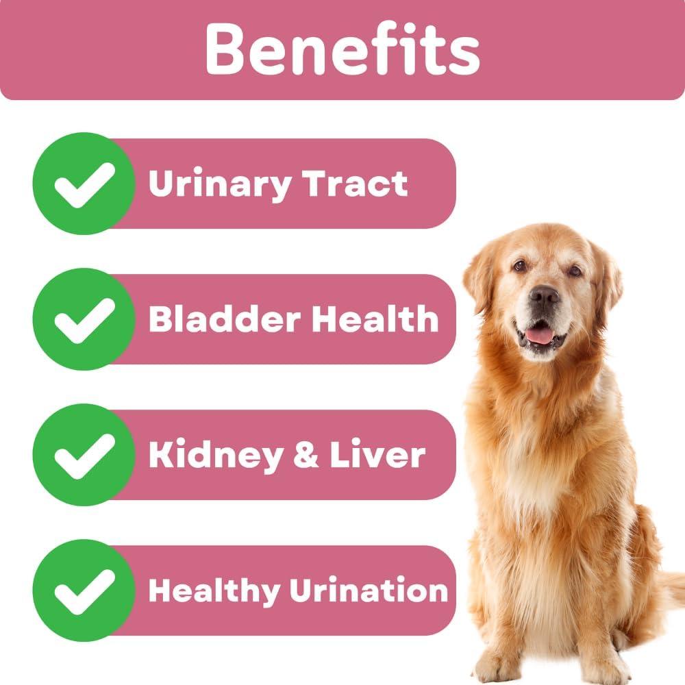 Chicles Naturales para Perros PawVital UTI - Arándano y D-Mannosa