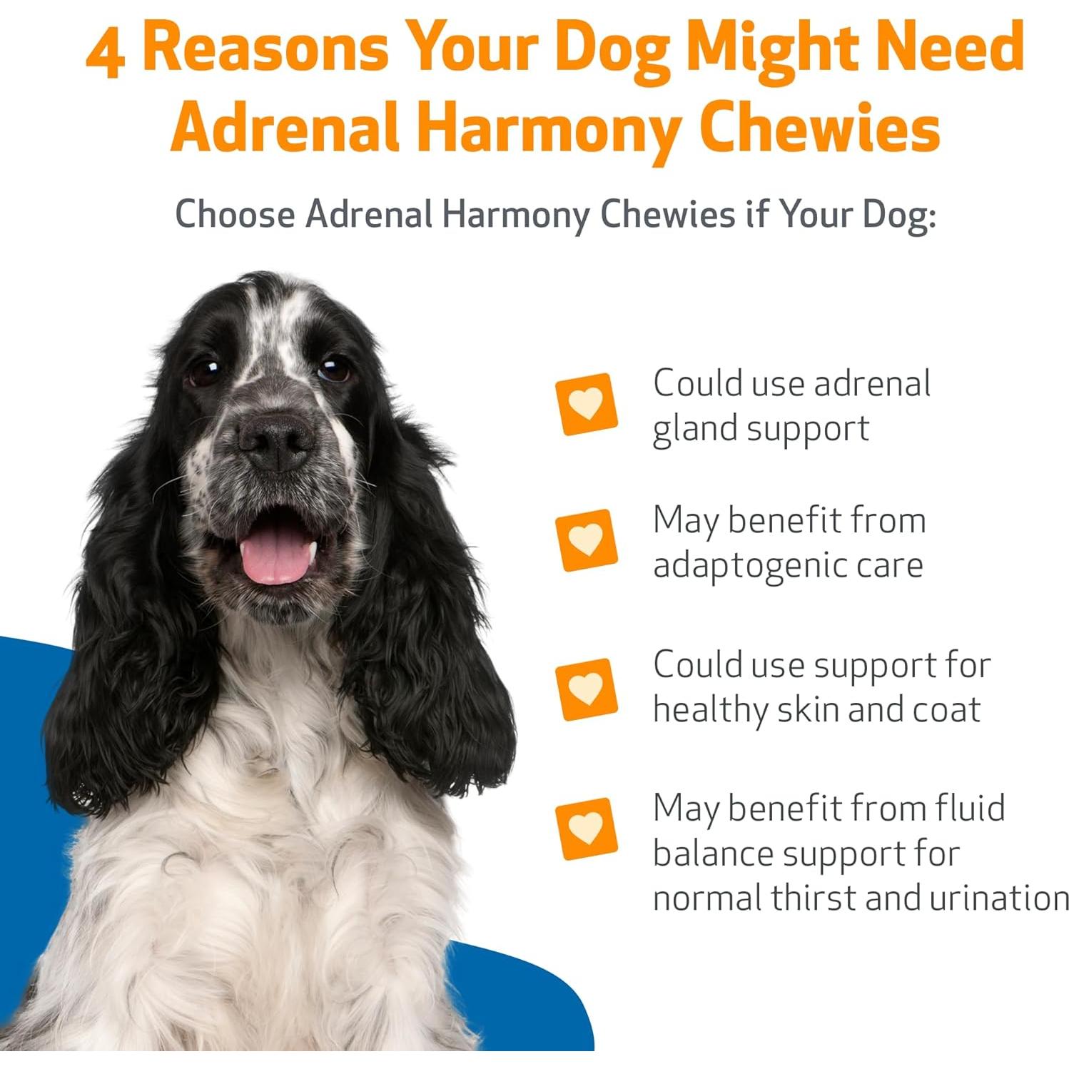 Suplemento Herbal Pet Wellbeing Adrenal Harmony Gold 90ml