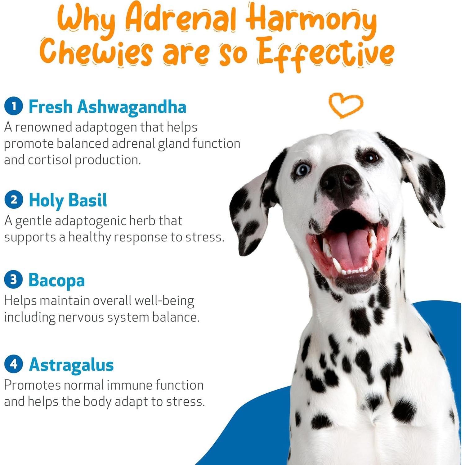 Suplemento Herbal Pet Wellbeing Adrenal Harmony Gold 90ml
