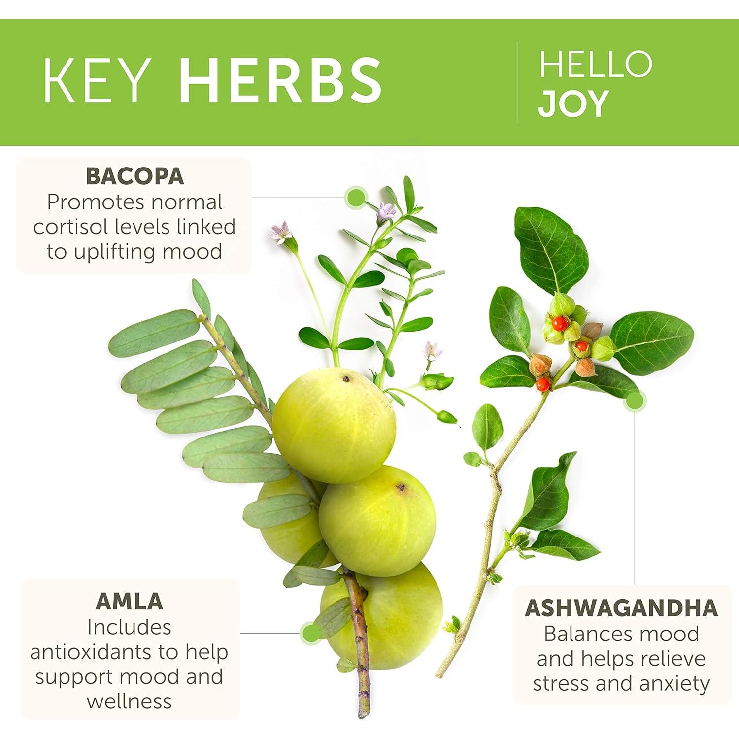 Suplemento Herbal Himalaya Hello Joy 60 Cápsulas - Antiestrés