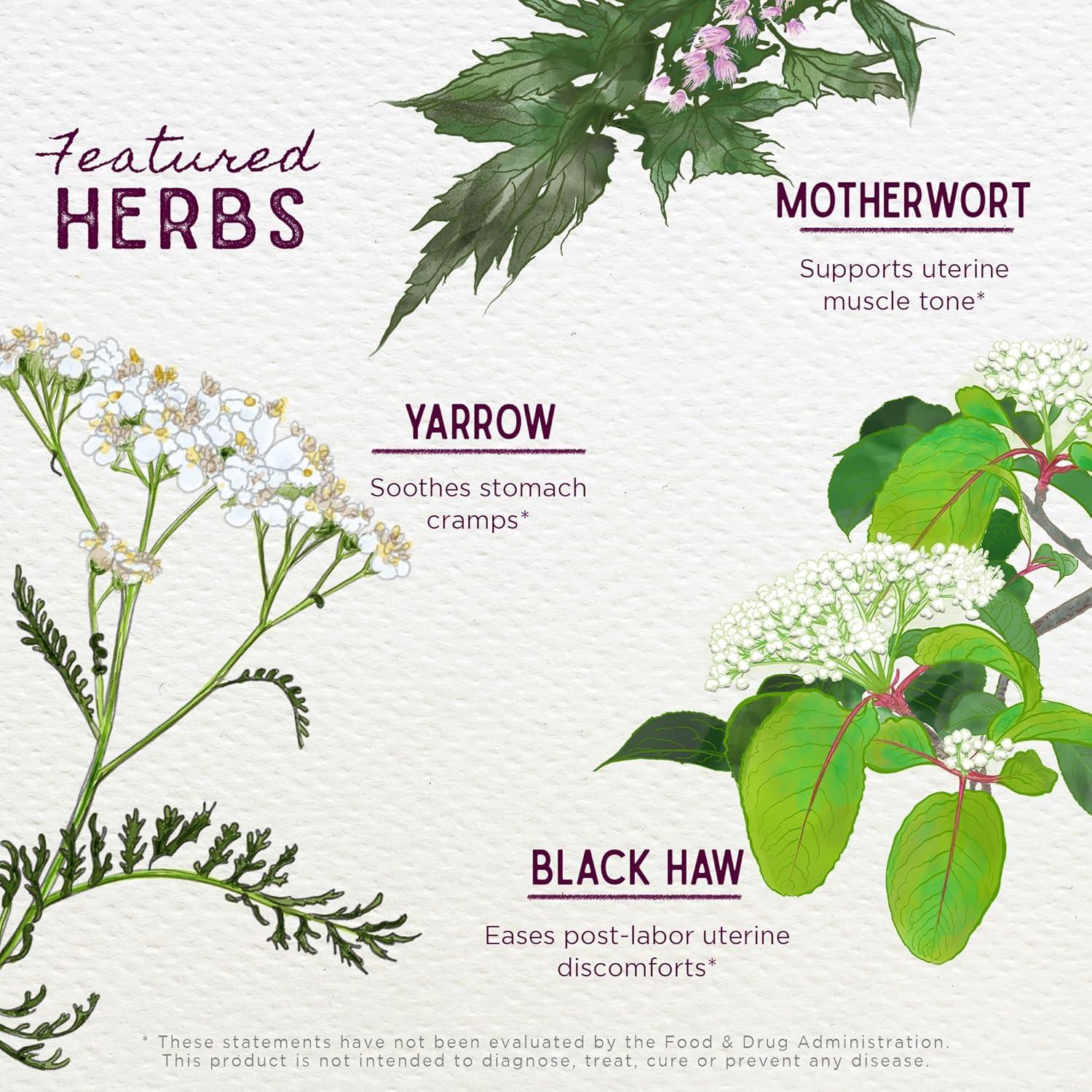 AfterEase WishGarden 60ml - Suplemento herbal postparto