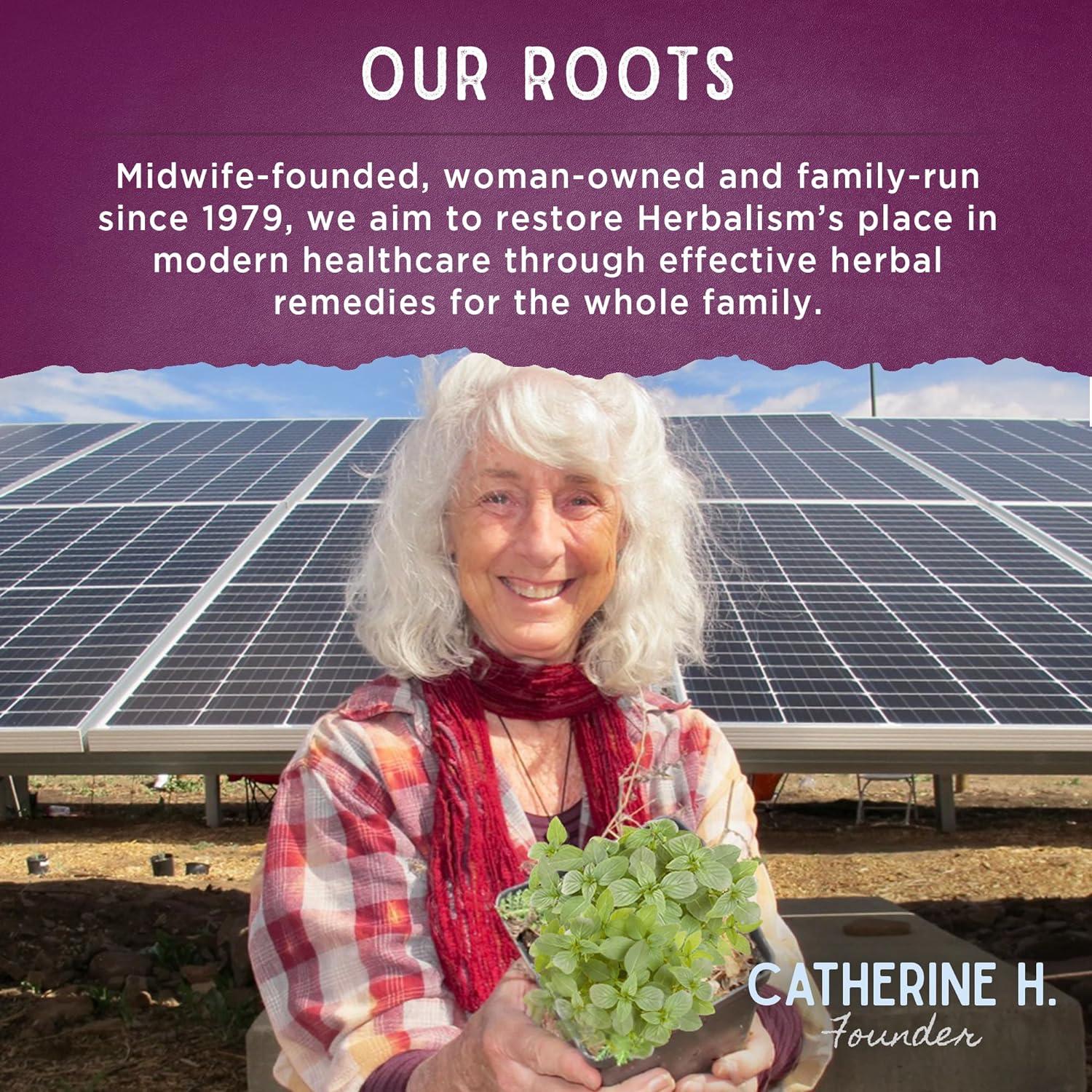 WishGarden Herbs Hot Flash Tamer - Plant-Based Herbal Hot Flash Relief & Night Sweats Supplement with Black Cohosh & Vitex Berry Supports Healthy Hormone Levels, Menopause Relief for Women, 2oz