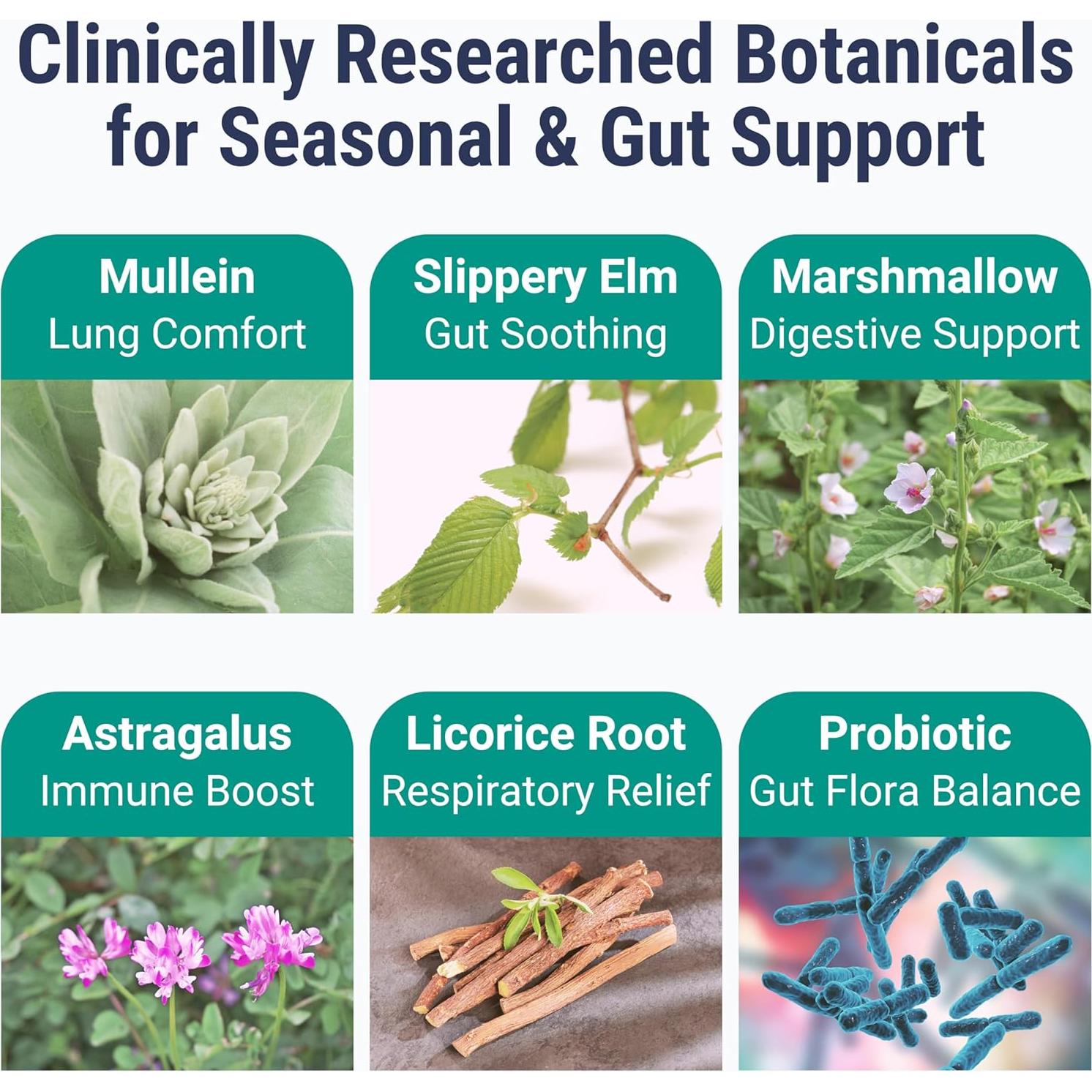 Gomitas Probioticas Shizam - Sin Azúcar, Veganas, Keto