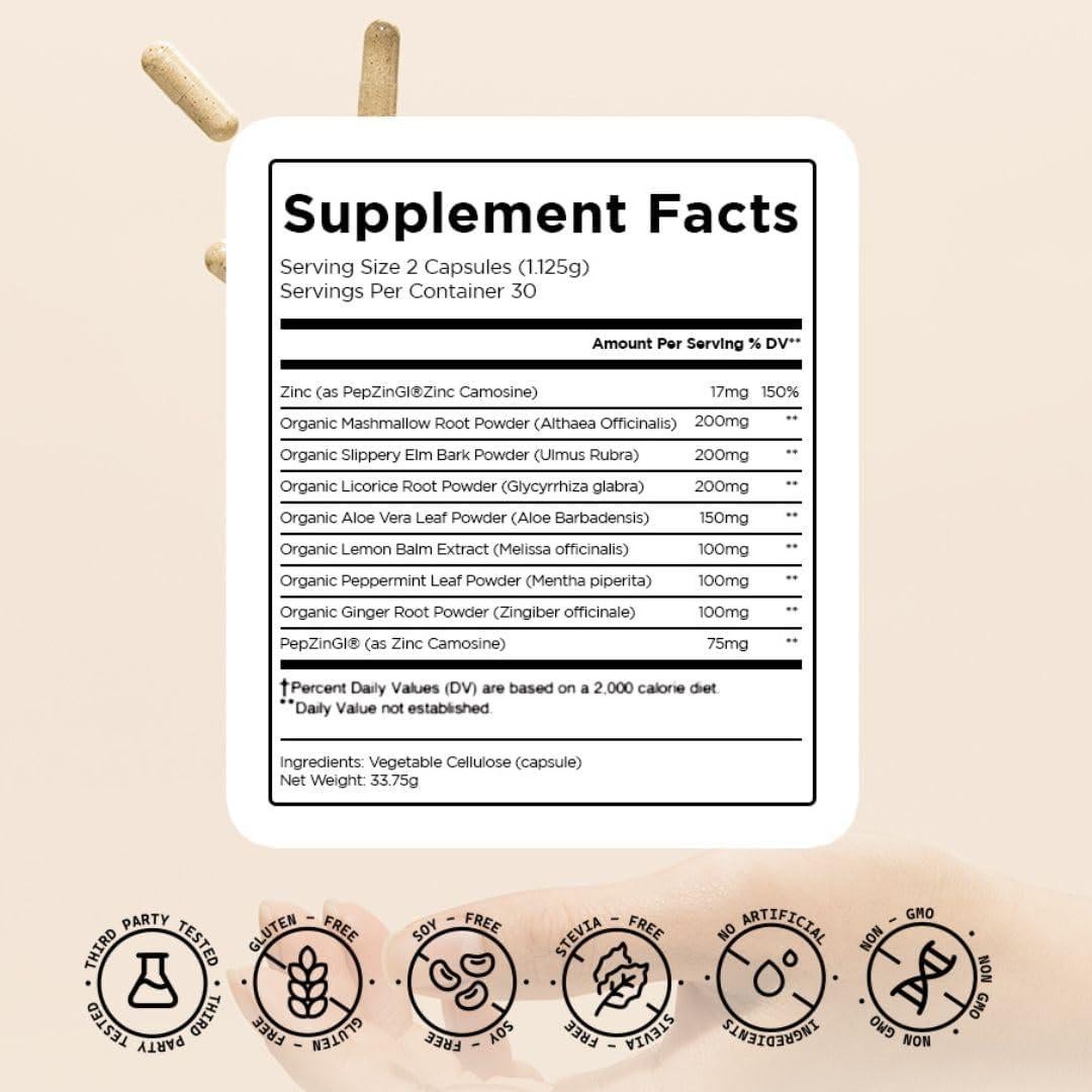 Cápsulas Diarias de Salud Intestinal höliss - 60 Unidades