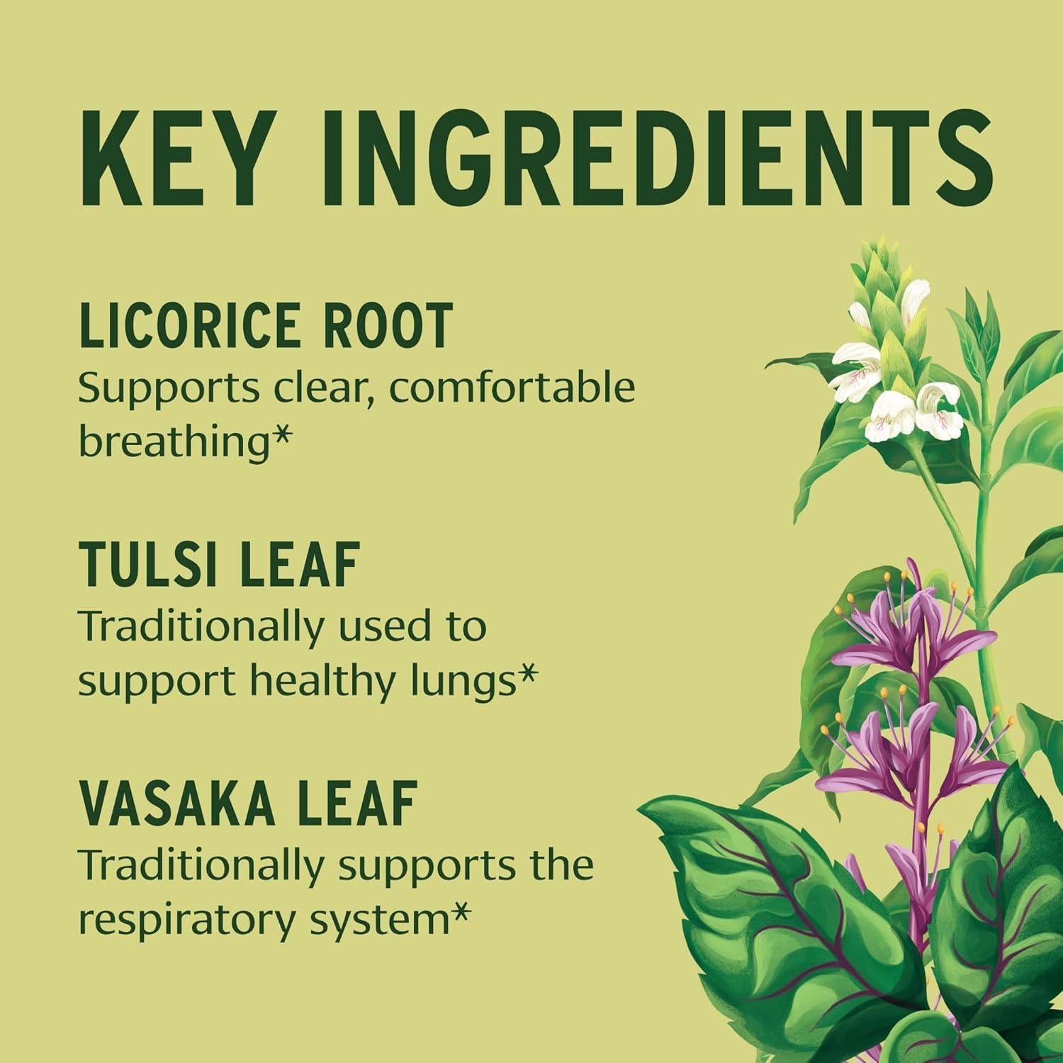 Fórmula Pulmones Banyan Botanicals - Suplemento Orgánico 90 Tabletas