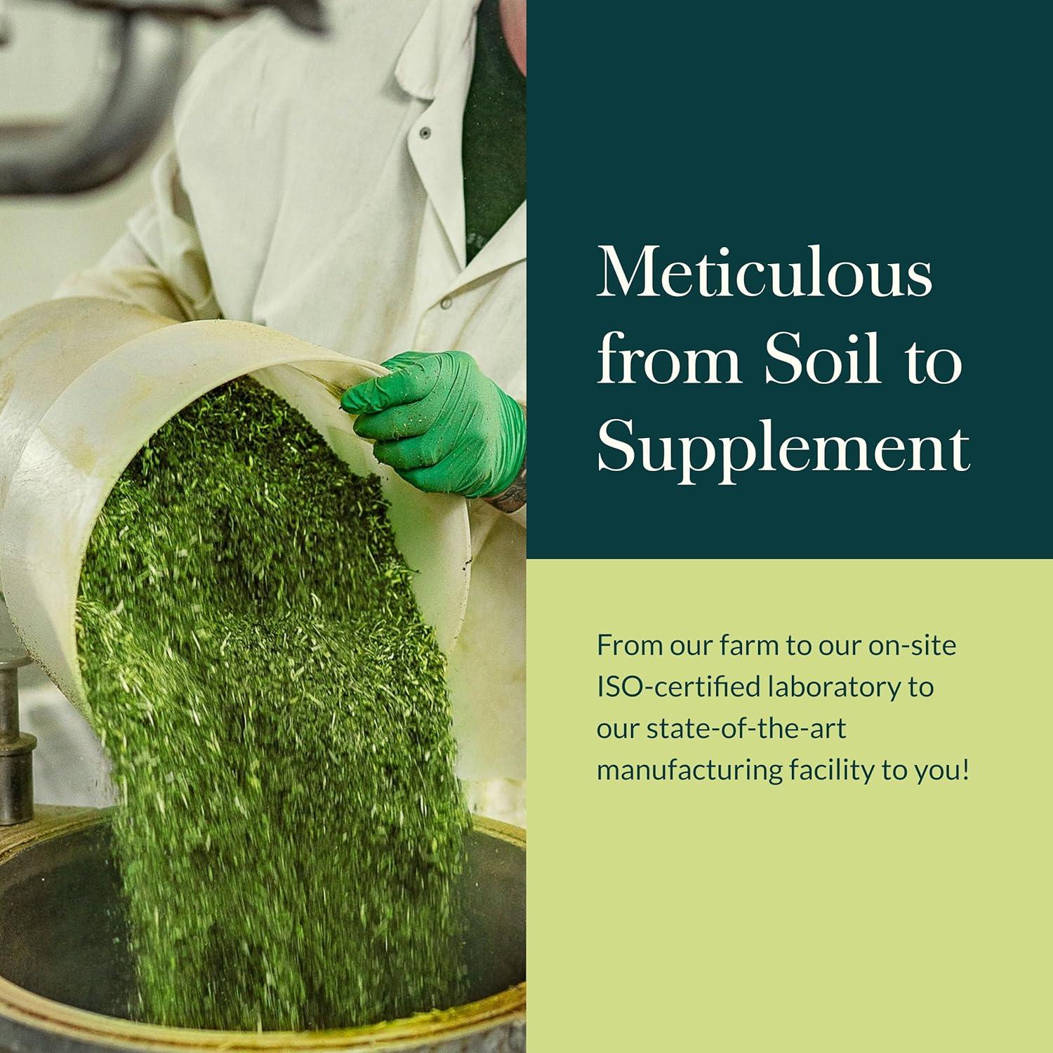 Gaia Herbs Raíz de Kava 60 Cápsulas Veganas - Relajación Natural