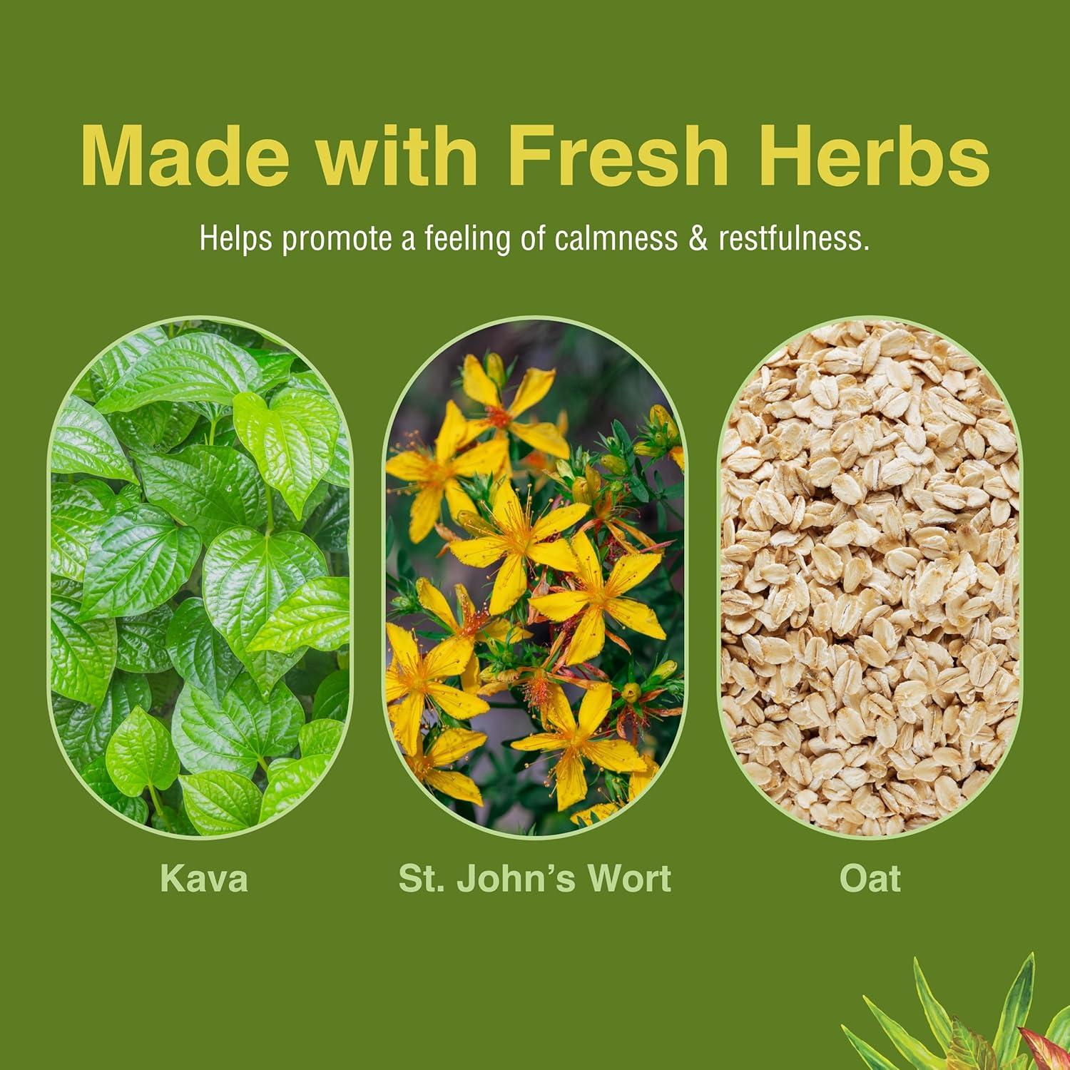 Suplemento Herbal Kava Calm Complex Herbs Etc. 60 Gelatinas