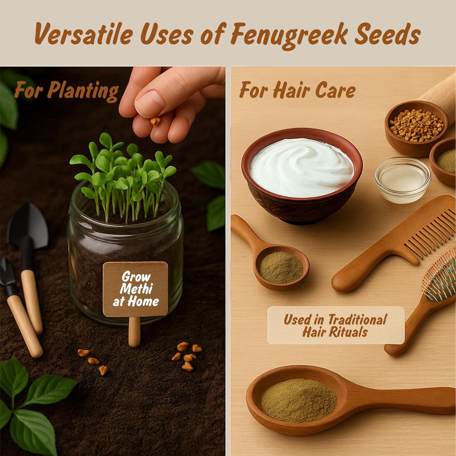 Semillas de Fenogreco Orgánicas 113.4g - Spice Profile LLC