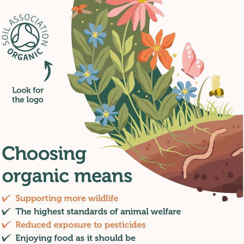 Aceite de Orégano Orgánico C80 10ml - Soporte Inmunológico