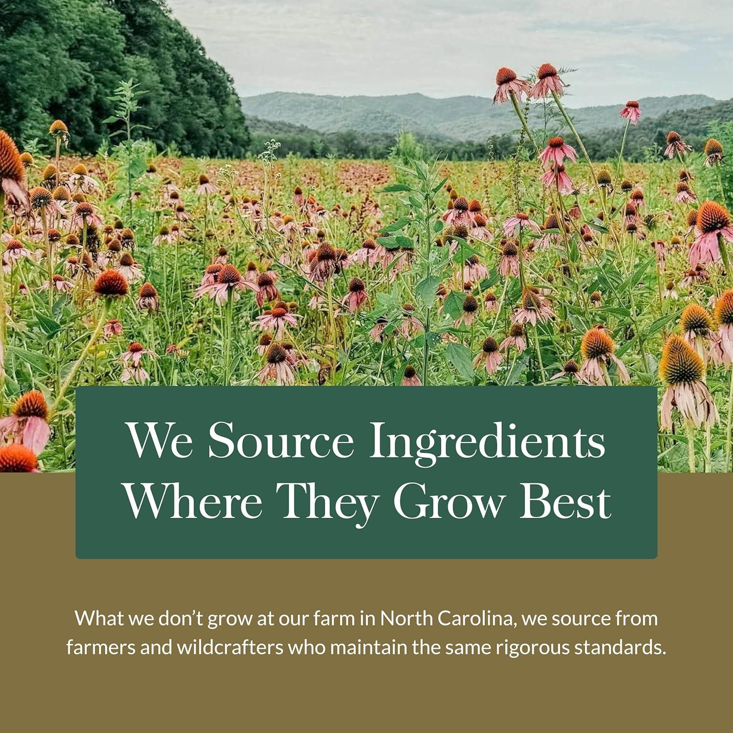 Suplemento Natural Gaia Herbs Hierba de San Juan 60 Cápsulas Veganas