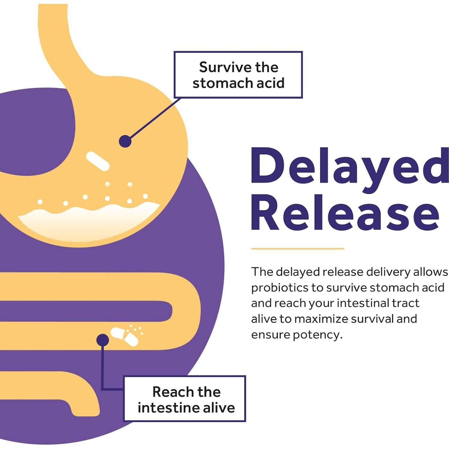 Probioticos para Mujeres Recetas del Doctor 100B 30 Caps Veganas
