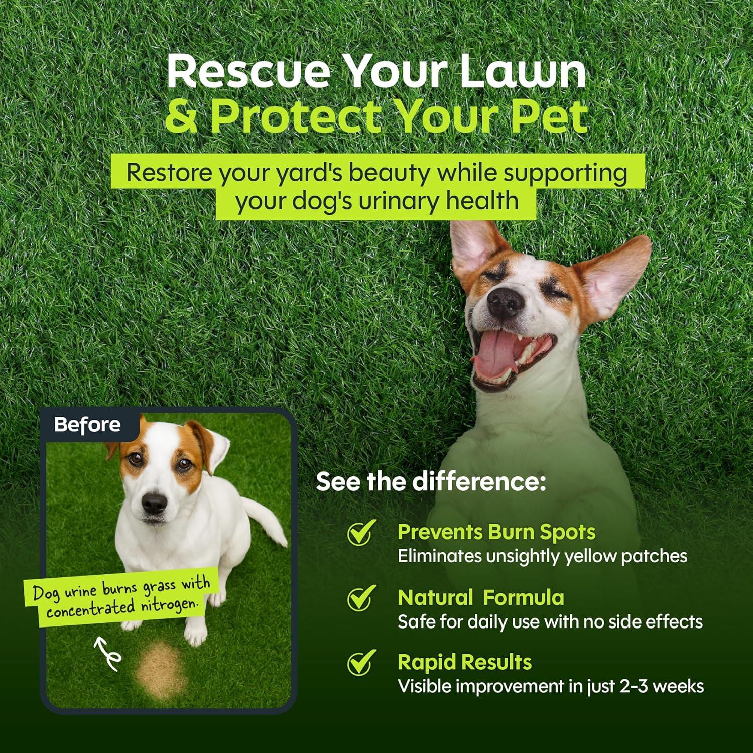 Neutralizador de Orina de Perro Green Relief - Polvo Natural 116g