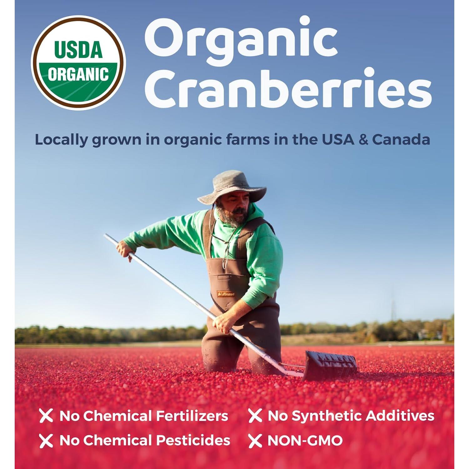 Cápsulas de Arándano Orgánico Pure Co - 120 Unidades Veganas