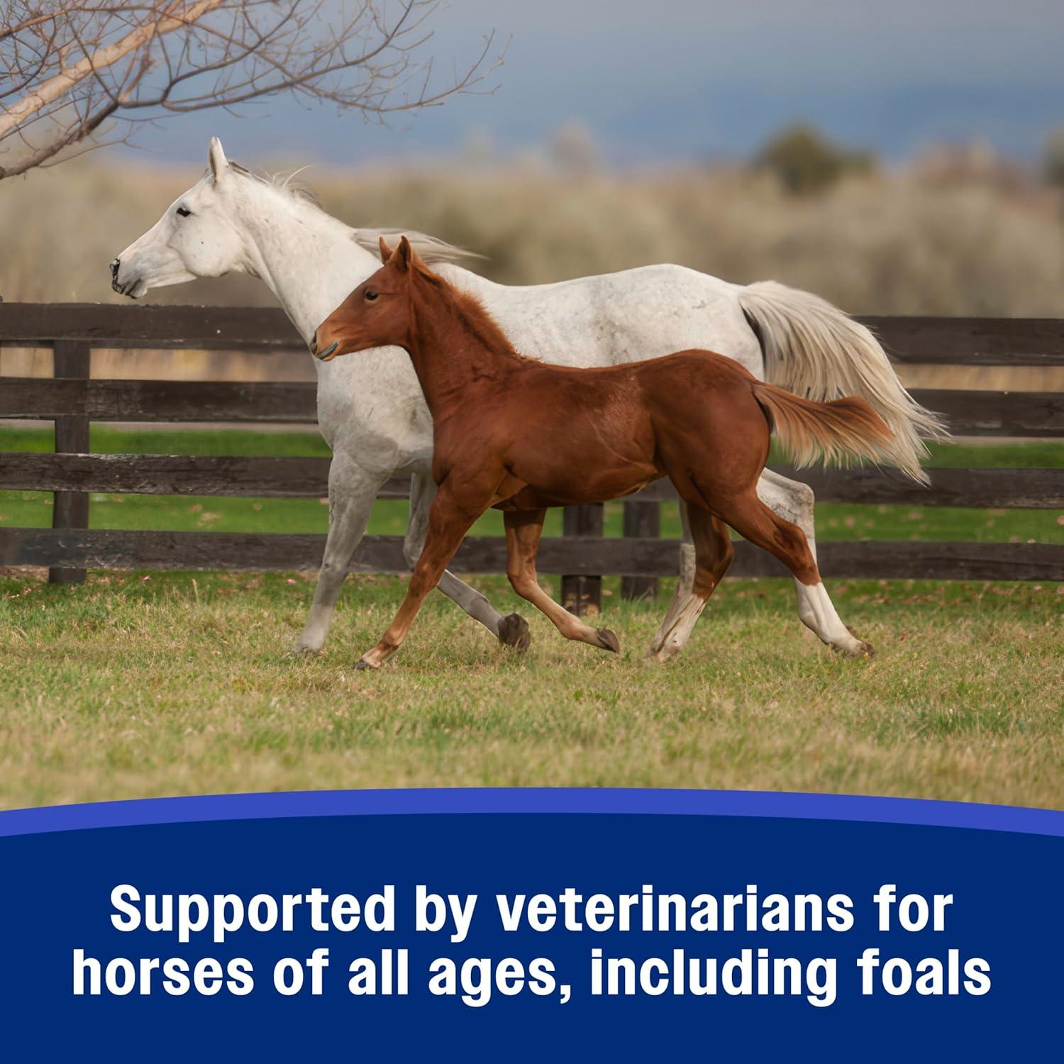 Suplemento Crumbles Psyllium SandClear Farnam 1.36 kg