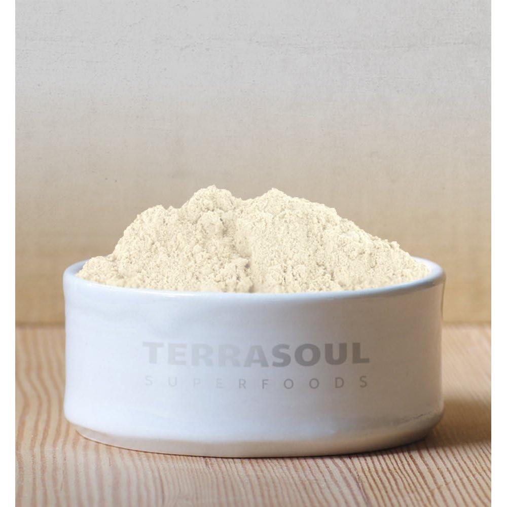 Polvo de Cáscara de Psyllium Orgánico Terrasoul 0.45 kg - Alta Pureza
