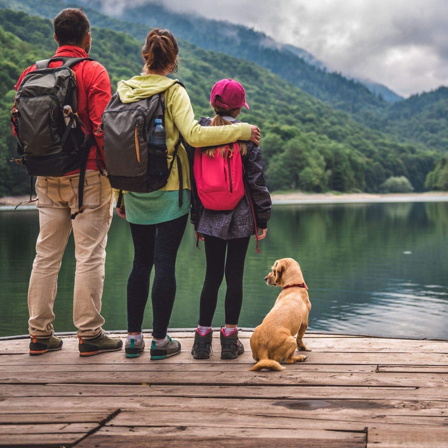 Konsyl Fibra Diaria 100% Natural Psyllium 30 Stickpacks