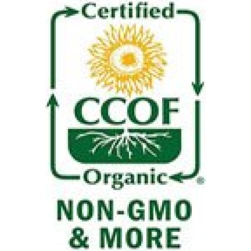 Cáscara de Psyllium Orgánica Indus Organics 1.36 kg Alta Pureza