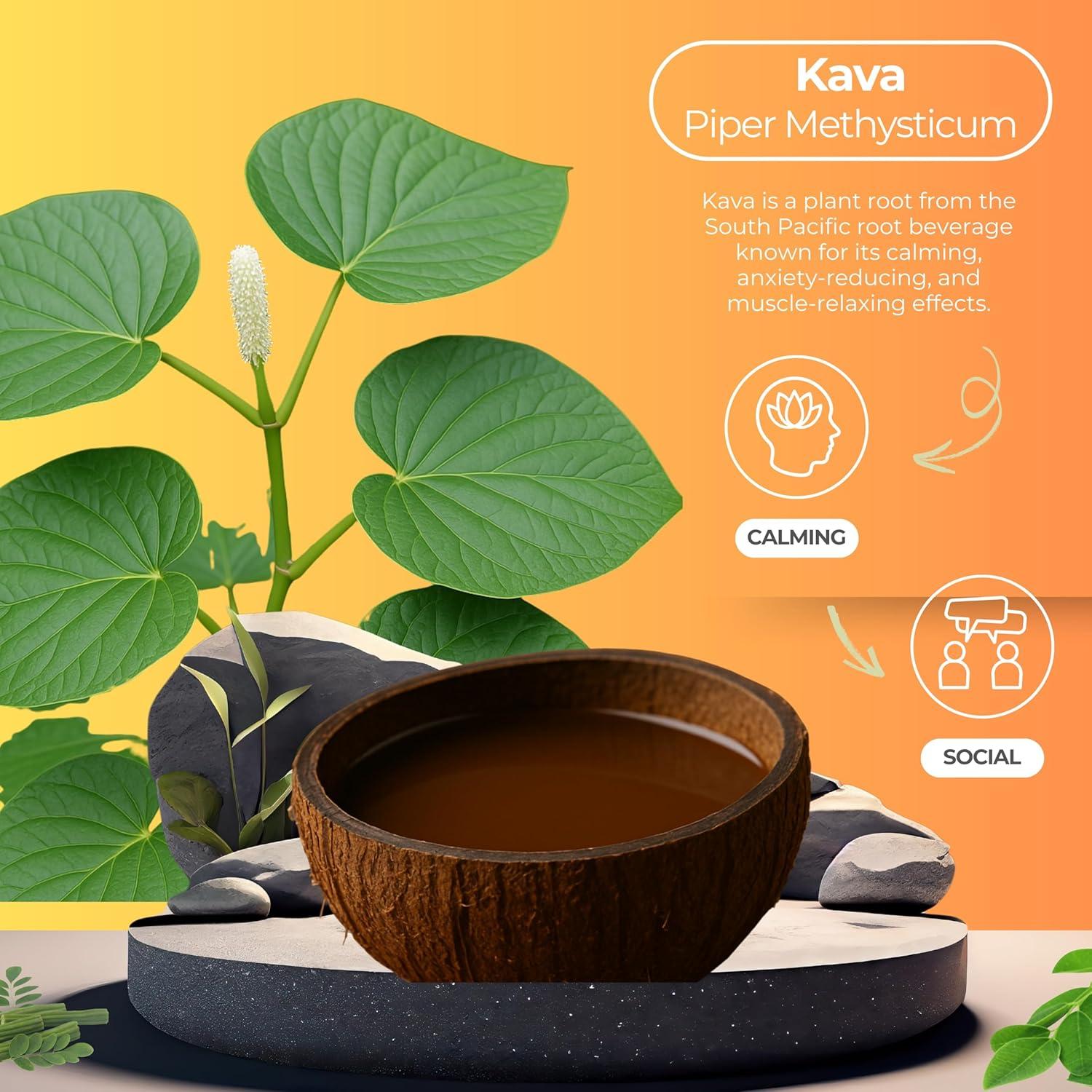 Bebida Espumosa de Kava Unicorn P Botanical Brewing 355 ml 4 Latas