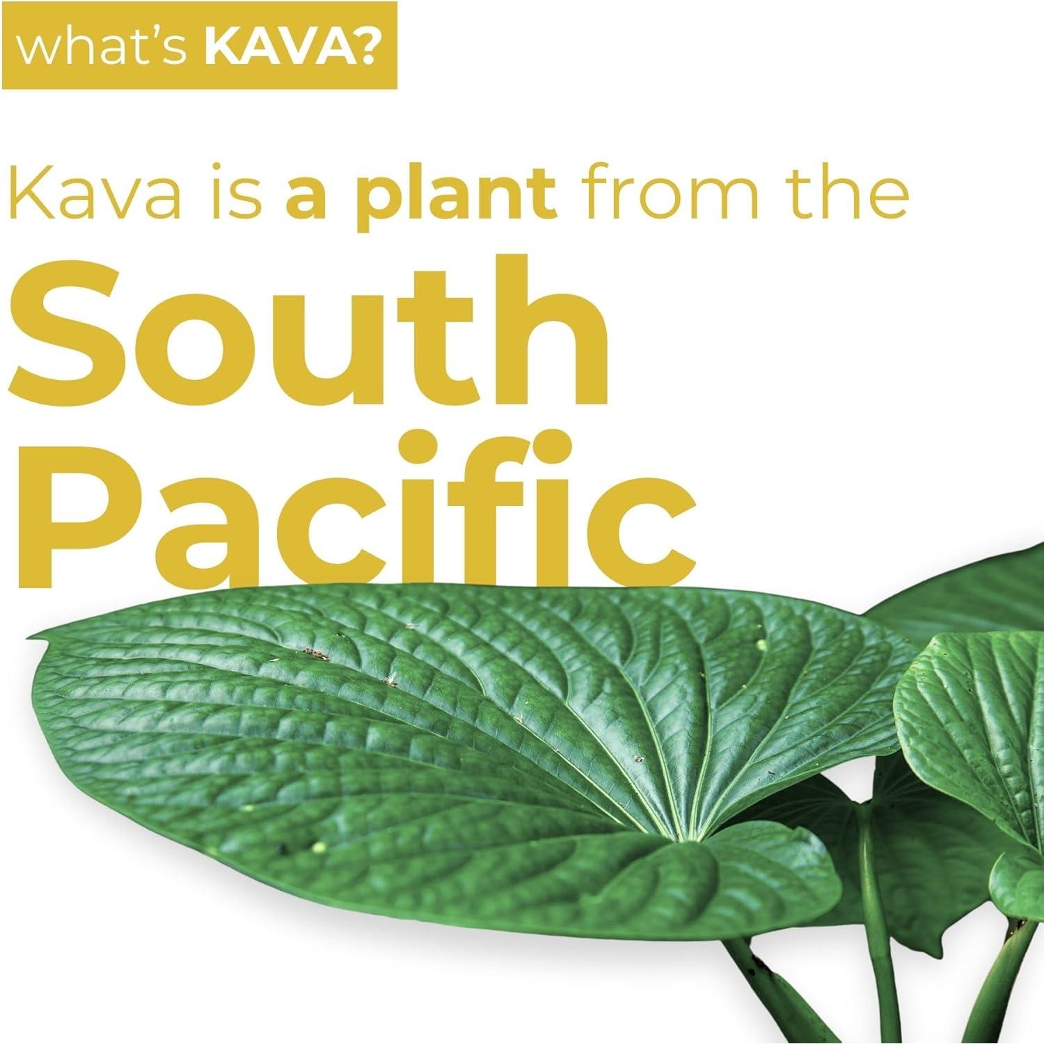 Bebida Mocktail de Pina Colada LEILO - Paquete de 12 Latas 355ml