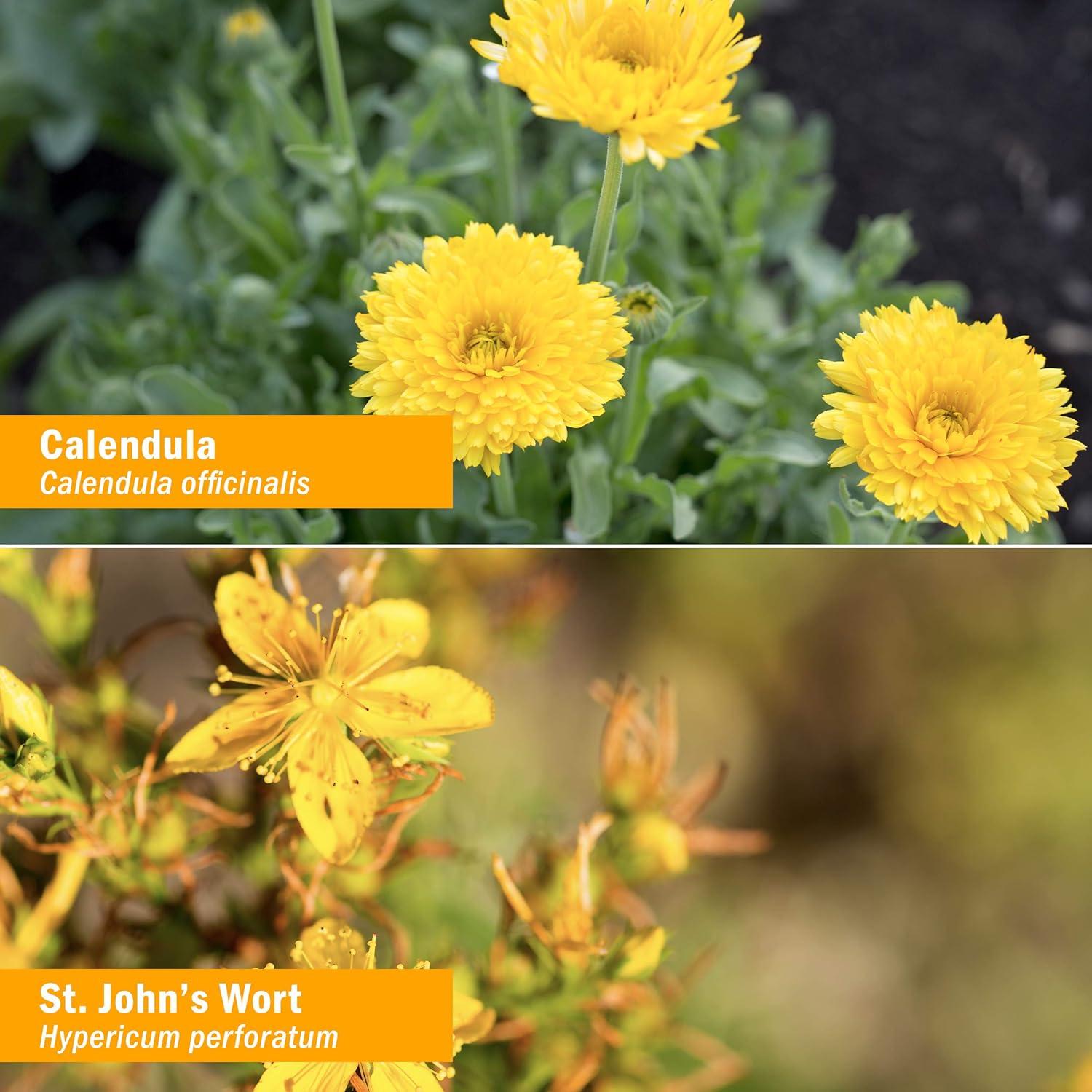 Aceite Traumatológico Herb Pharm 0.54 kg - Uso Tópico