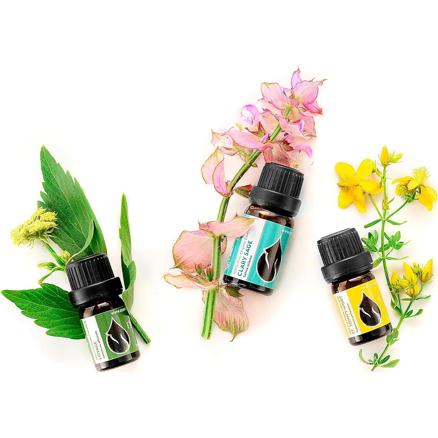 Aceite Esencial de Hierba de San Juan Orgánico Essences 5ml Puro