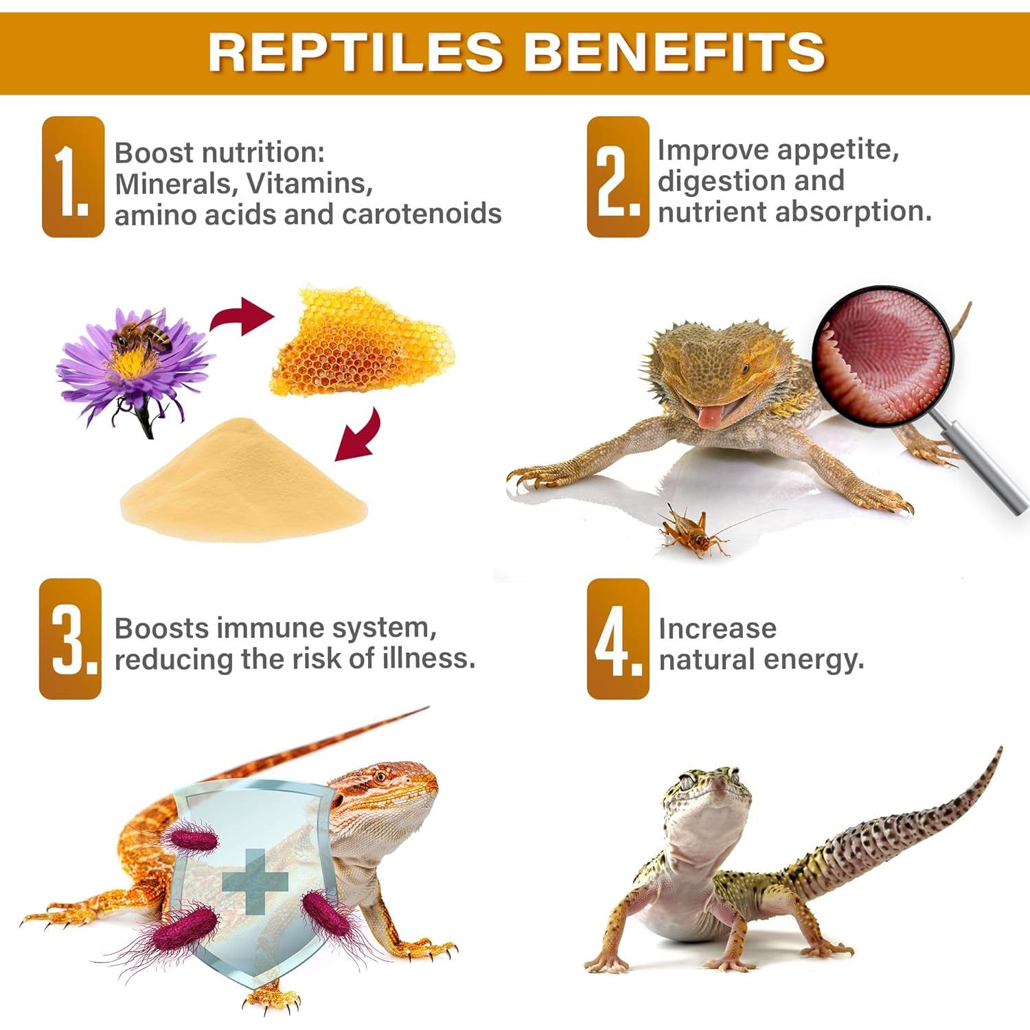 Polen de Abeja Gargeer 113g para Reptiles - Salud y Nutrición