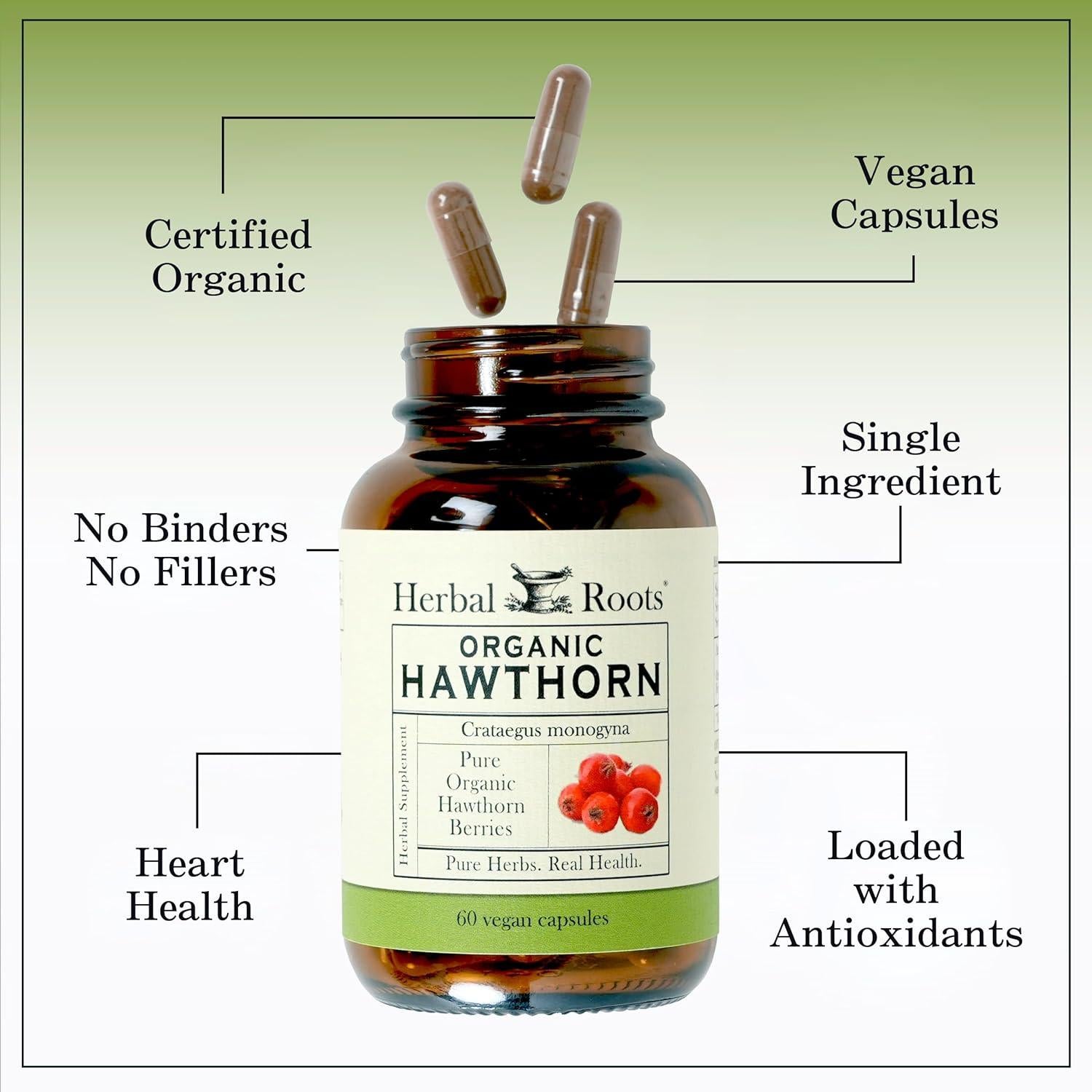 Cápsulas de Baya de Espino Orgánico Herbal Roots 1200mg 60 Unidades