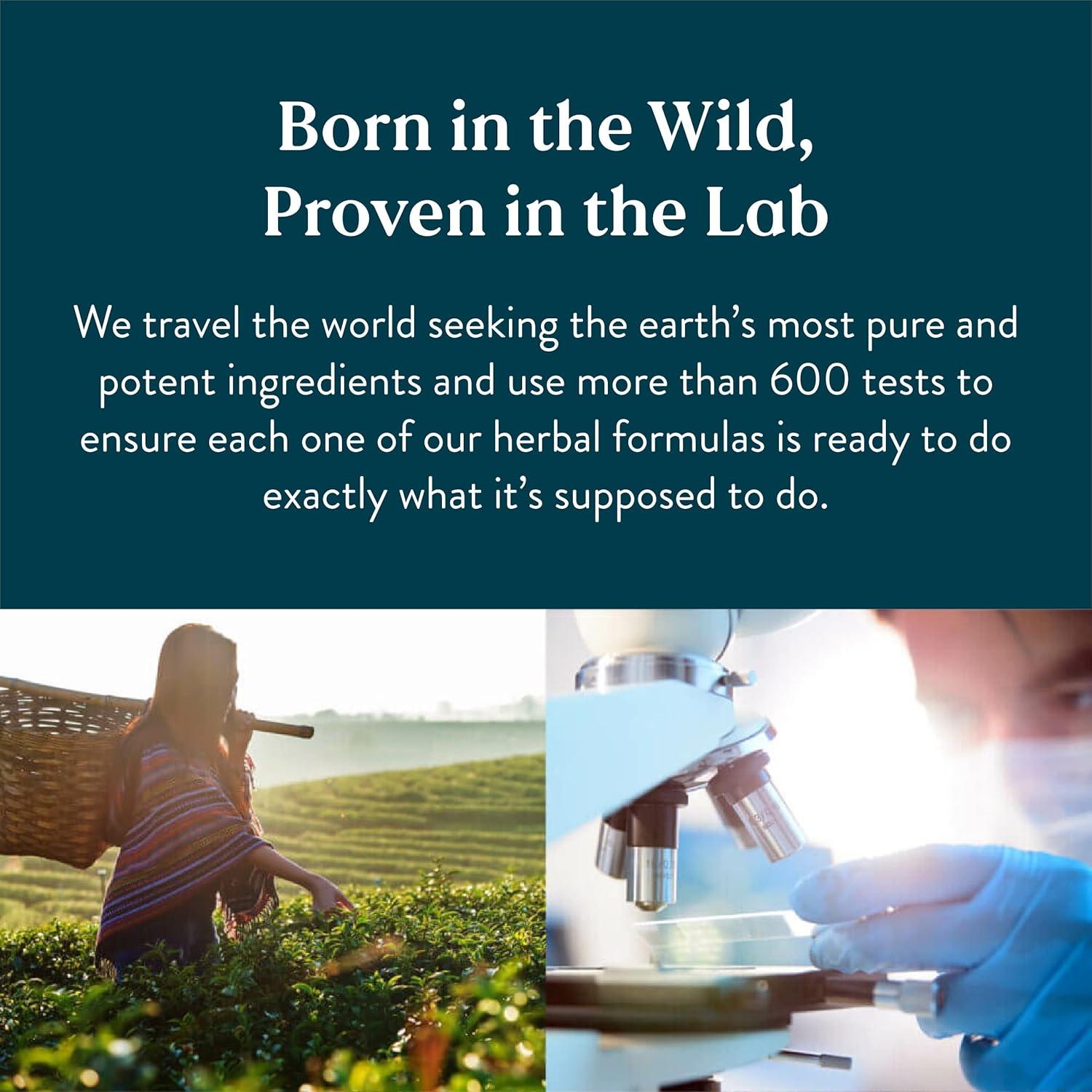 Bayas de Espino Nature's Sunshine 100 Cápsulas 450 mg