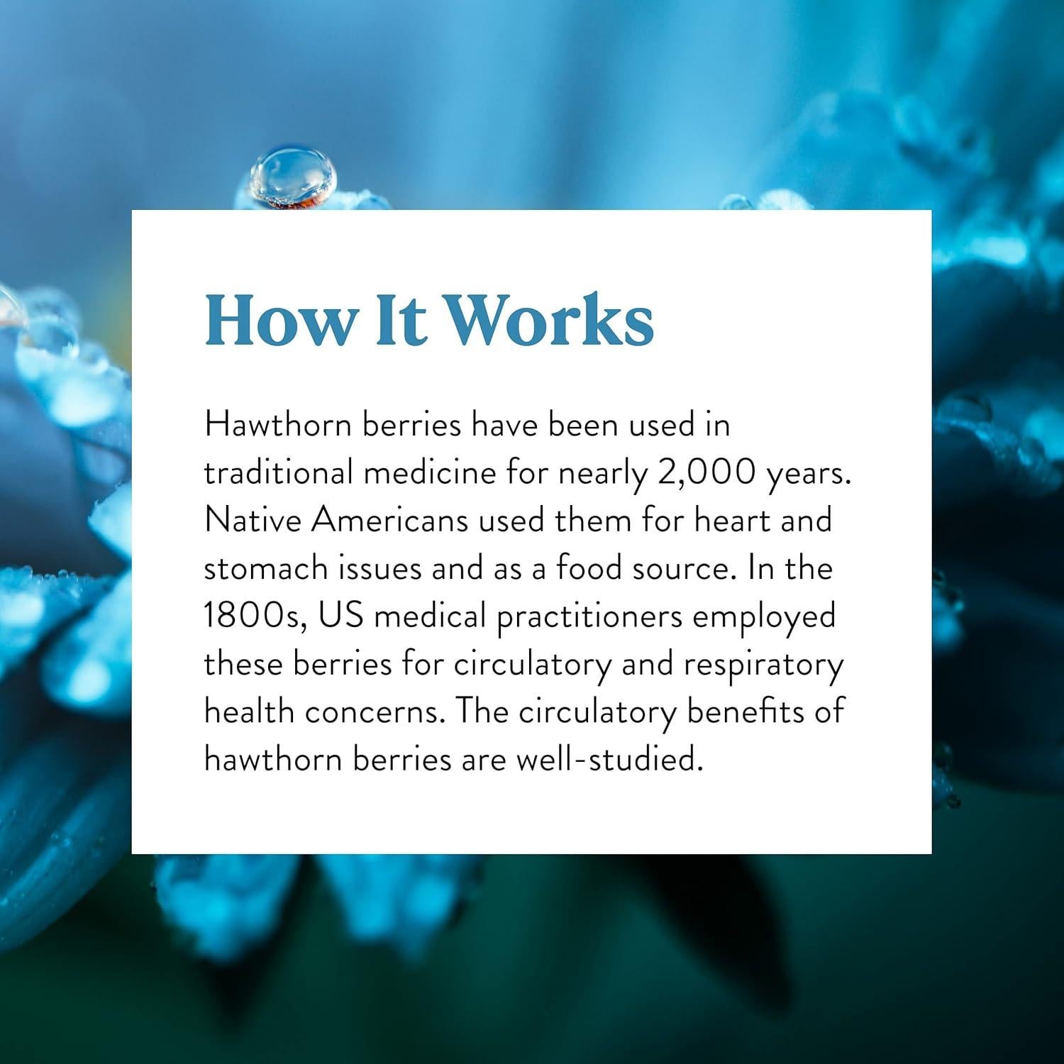 Bayas de Espino Nature's Sunshine 100 Cápsulas 450 mg