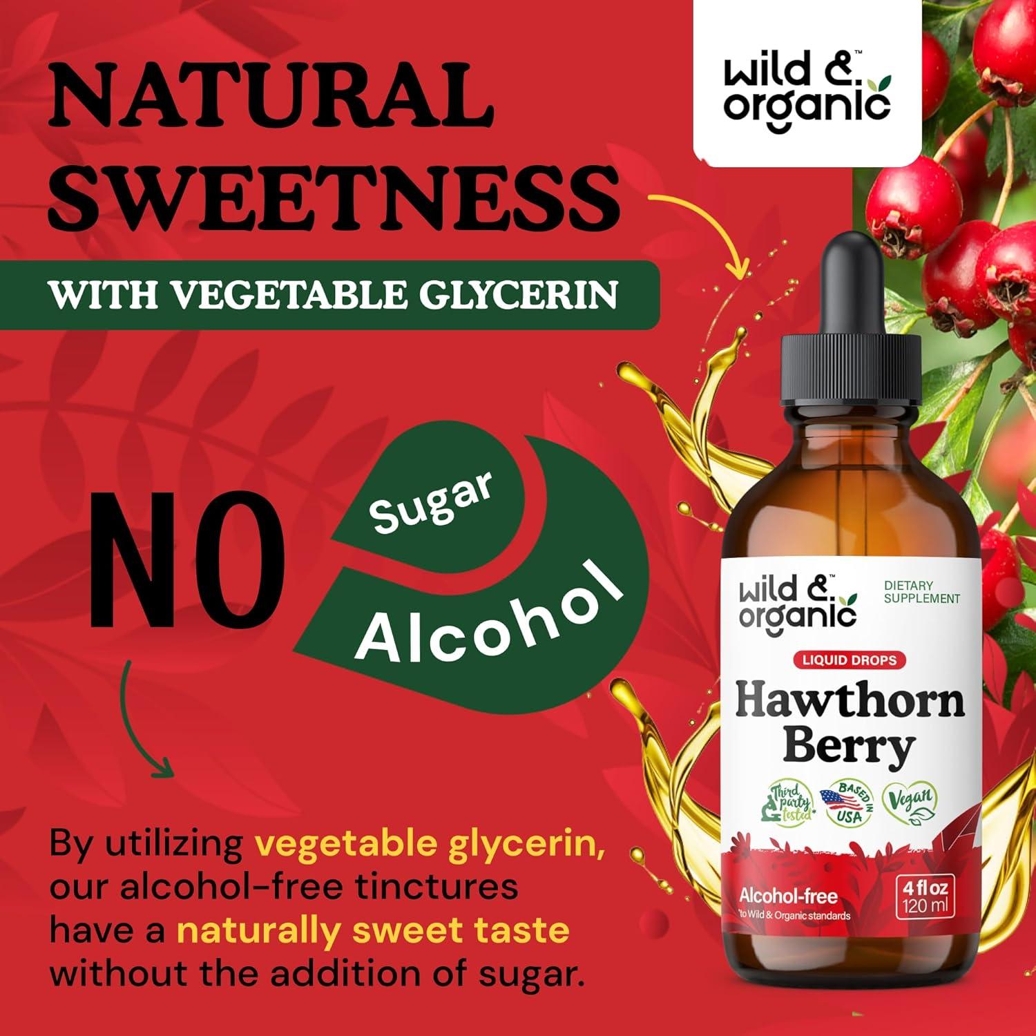 Tintura de Espino Silvestre Orgánico 600 mg - 118 ml - Suplemento Vegano
