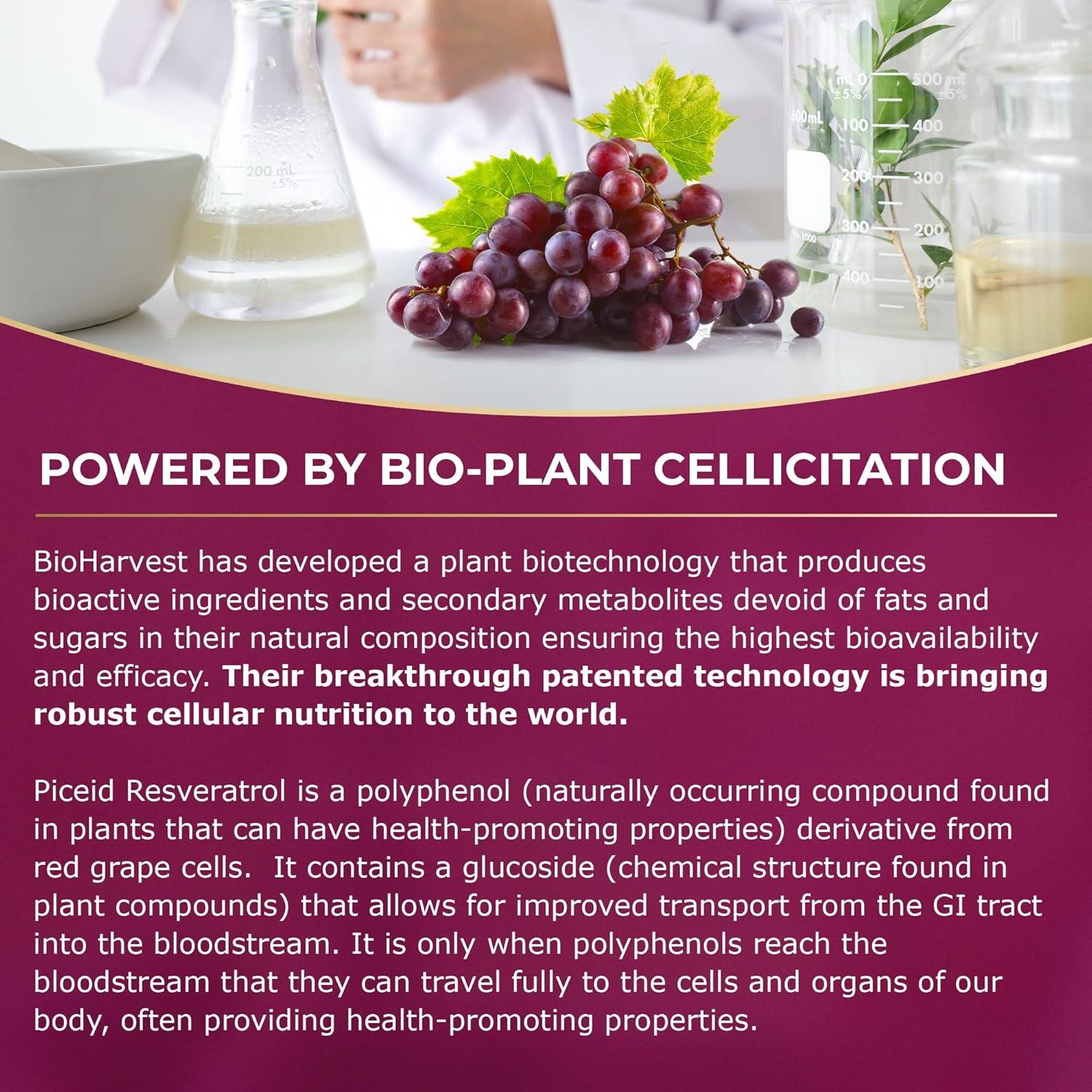 VINIA Suplemento de Resveratrol Piceid 30 Cápsulas Veganas