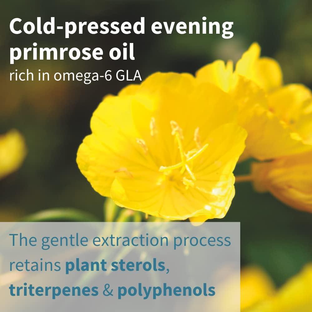 Vegepa Omega 3 Aceite de Pescado Salvaje 560 mg EPA 60 Cápsulas