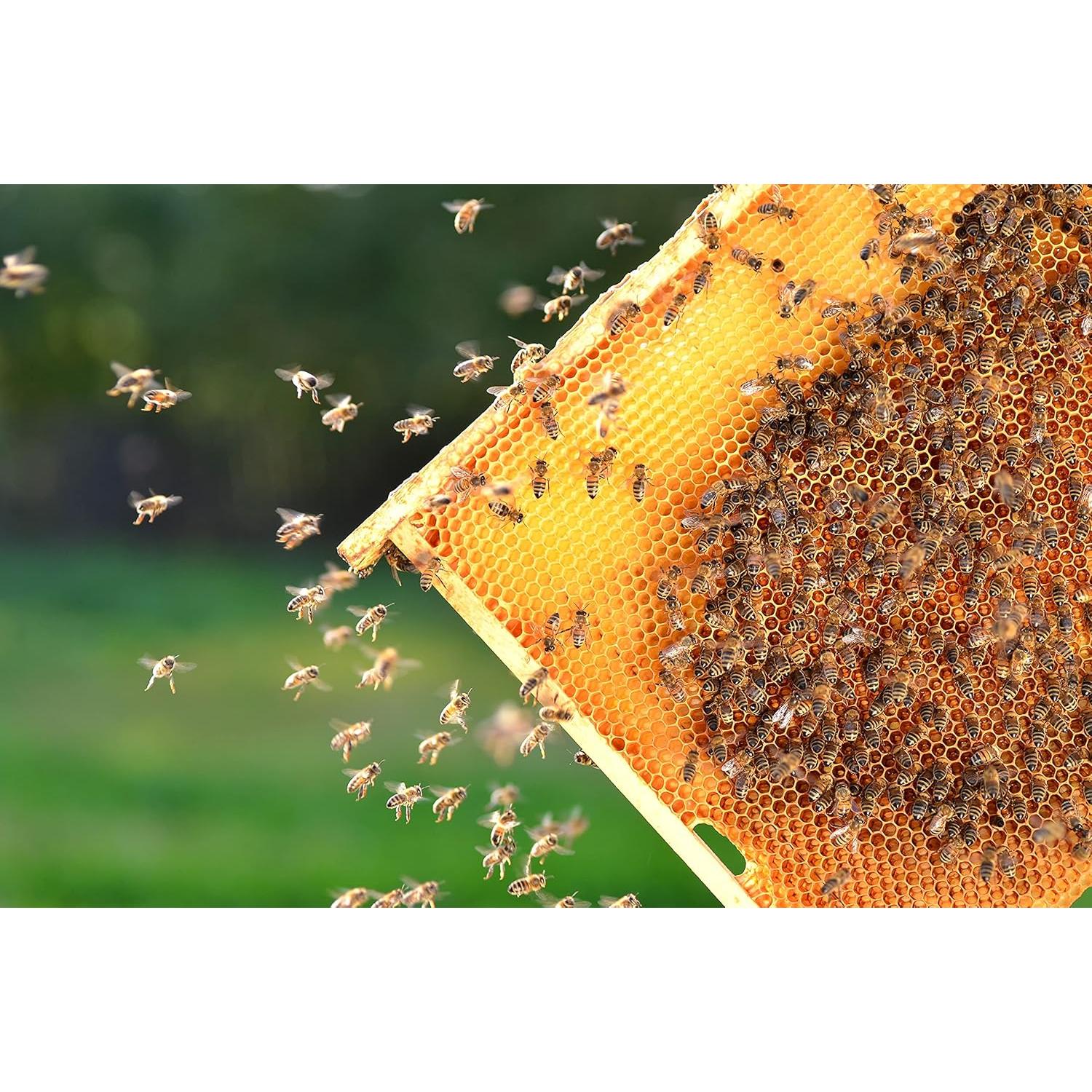 Polen de Abeja Crudo 100% Heritage Bee Farm 142 g