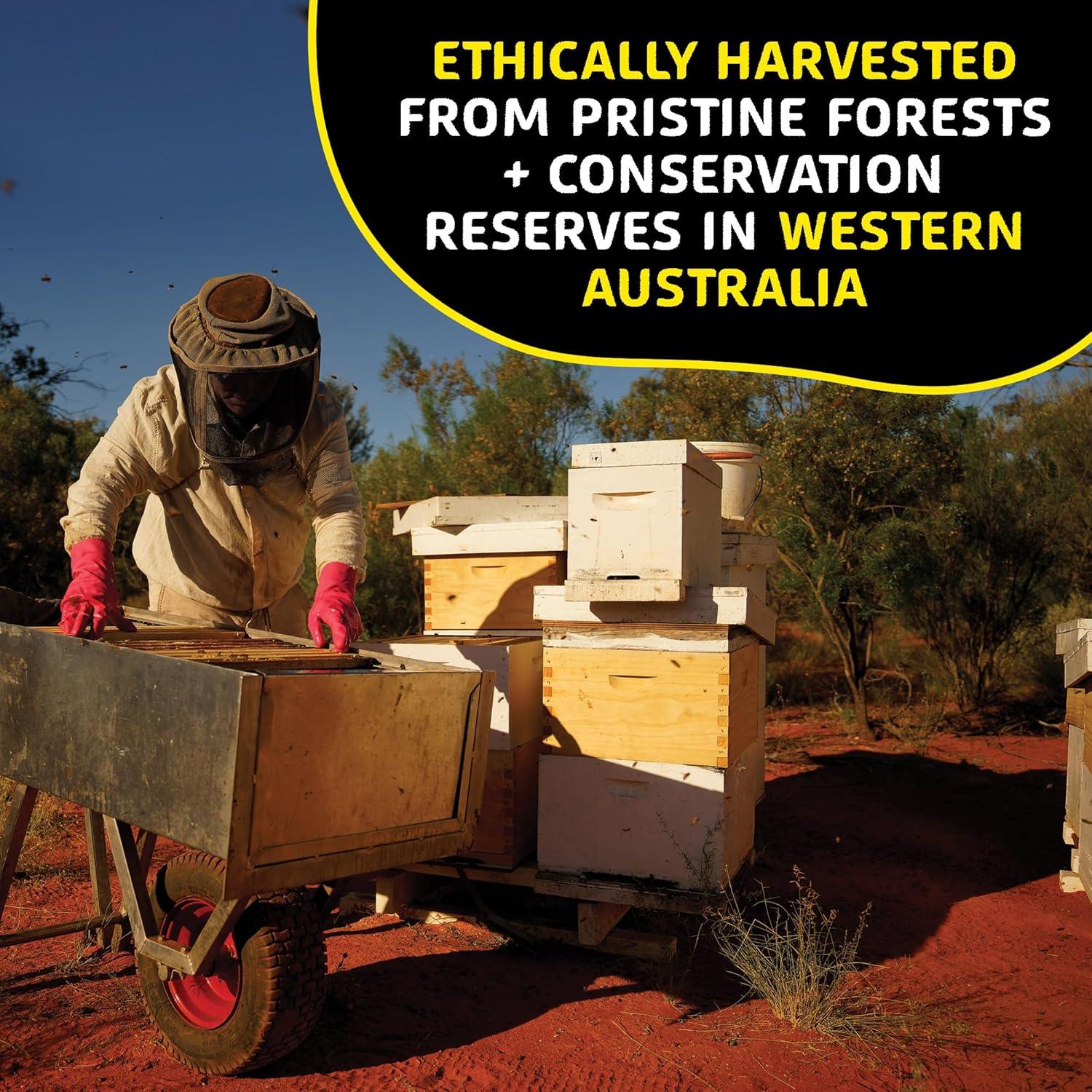 Gránulos de Polen de Abeja Helio Hives 0.5 kg - Puro de Australia