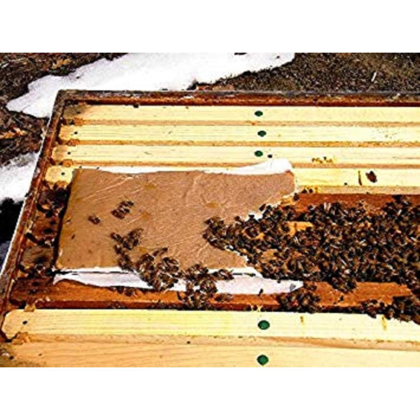 Alimento Suplementario para Abejas Ambrose 0.45 KG - Alta Proteína