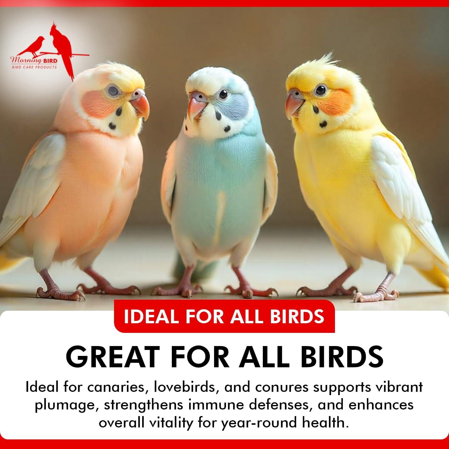 Polvo de Polen de Abeja Morning Bird 85g - Suplemento Nutricional