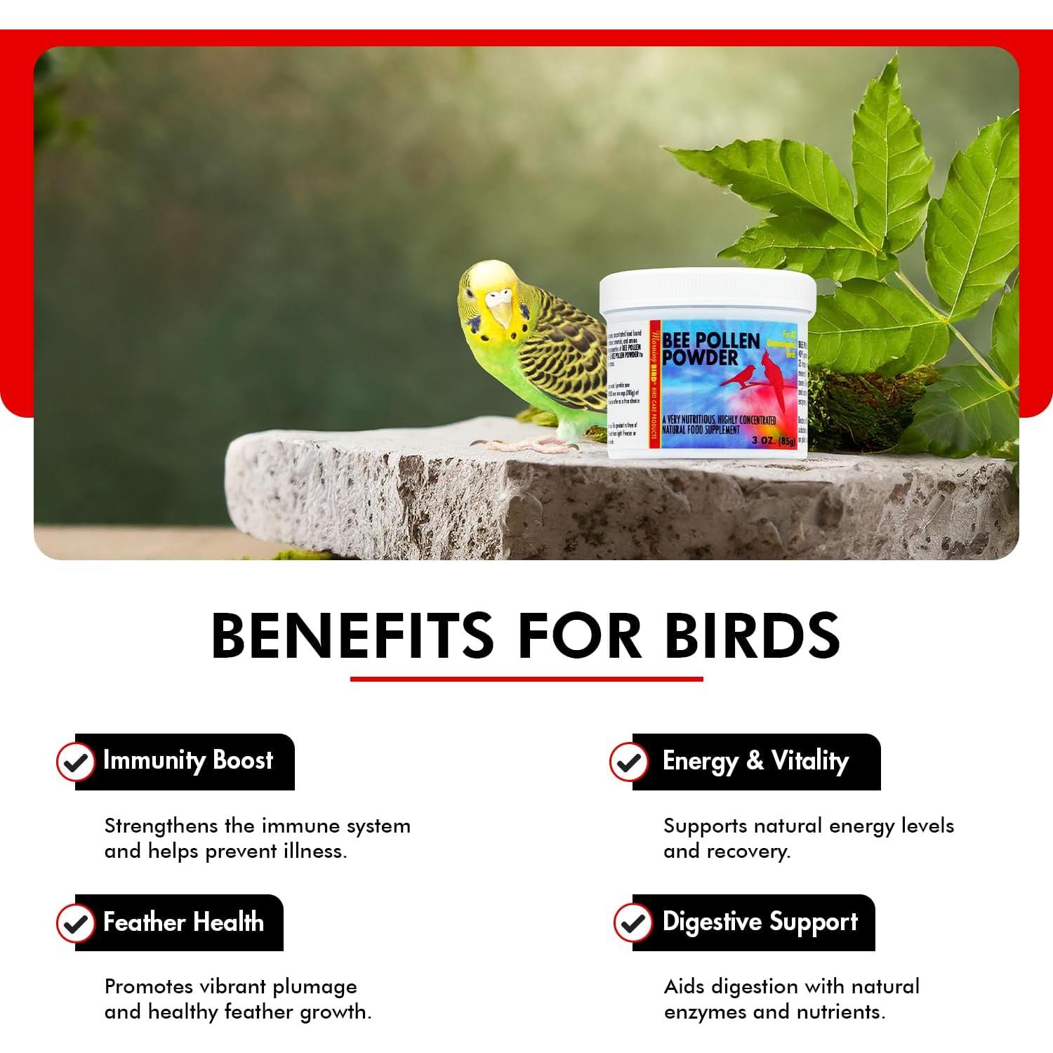 Polvo de Polen de Abeja Morning Bird 85g - Suplemento Nutricional