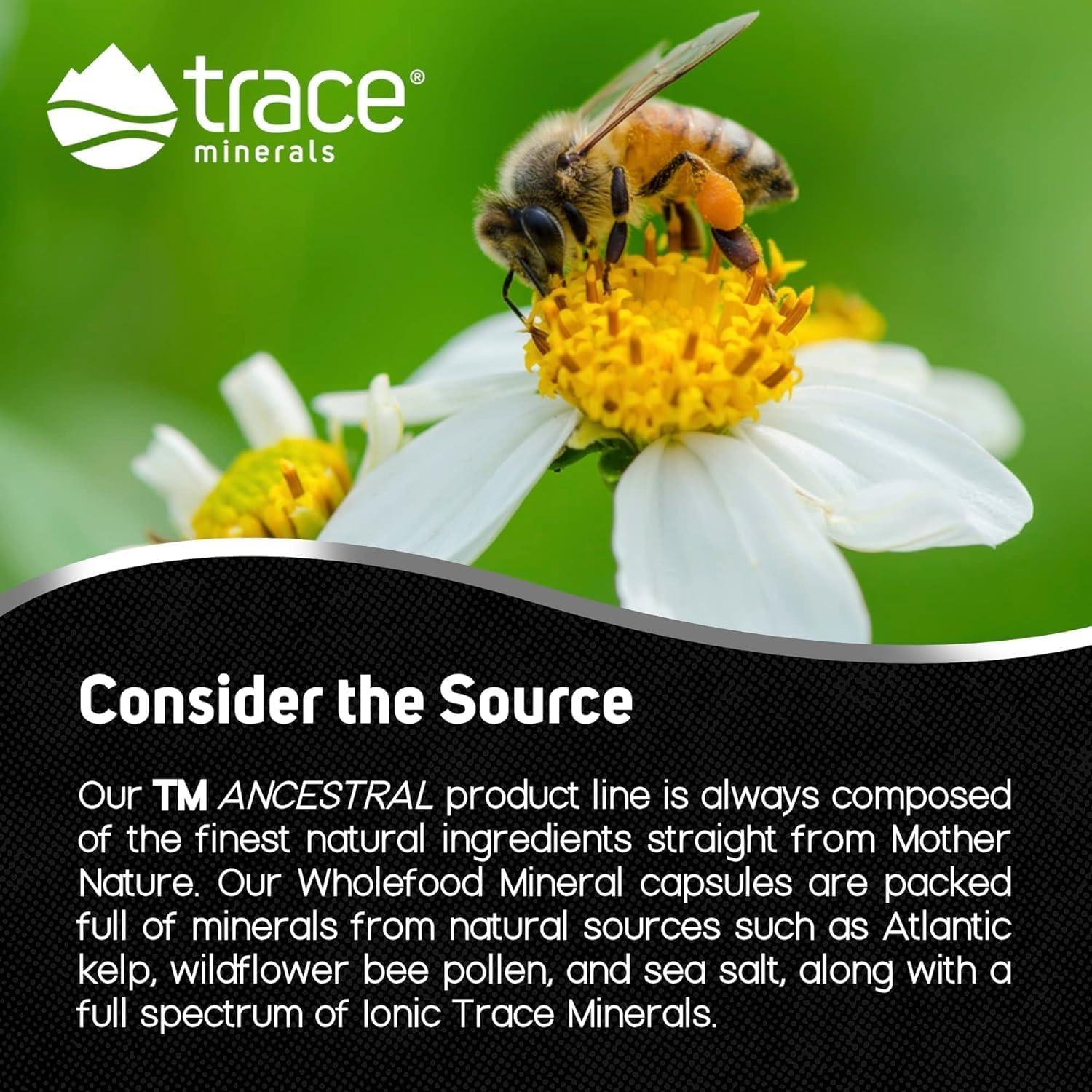 Suplemento Mineral Trace Minerals - 180 Cápsulas - Salud Cerebral y Digestiva