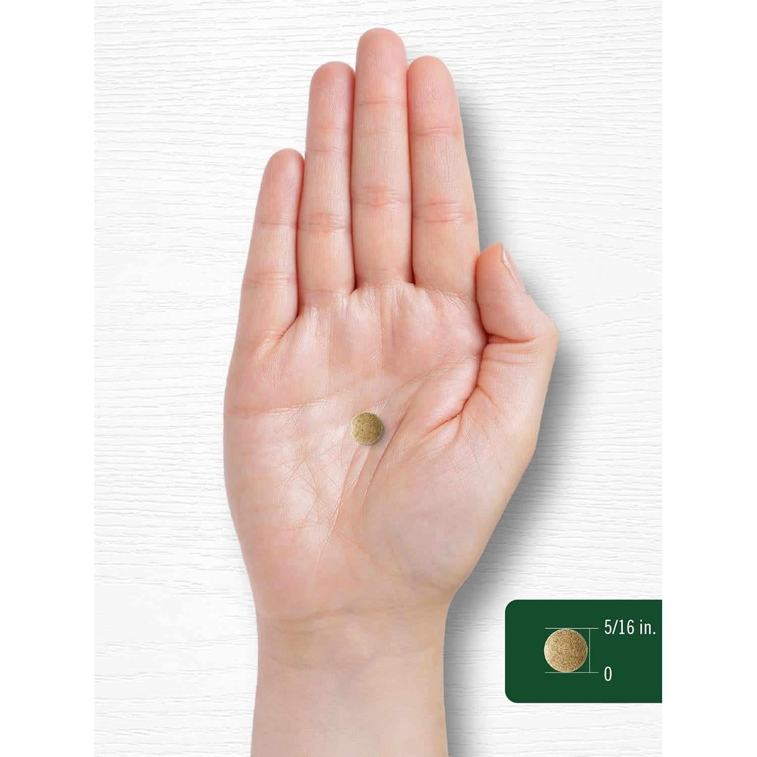 Carlyle Ginkgo Biloba 3000mg - 400 Tabletas Suplemento Herbal