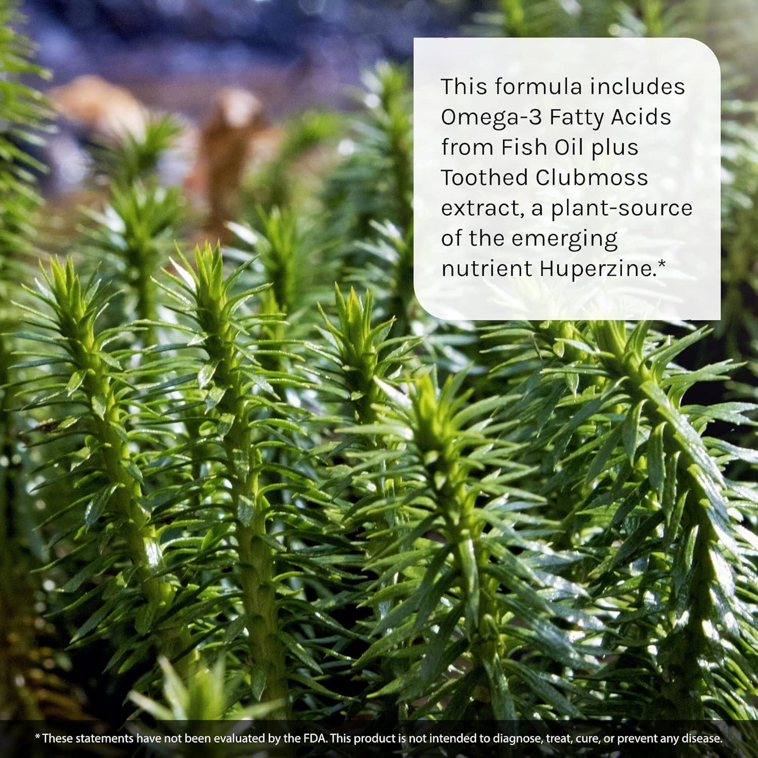 Irwin Naturals Ginkgo Smart Nootrópico 120 Gelatinas 340g