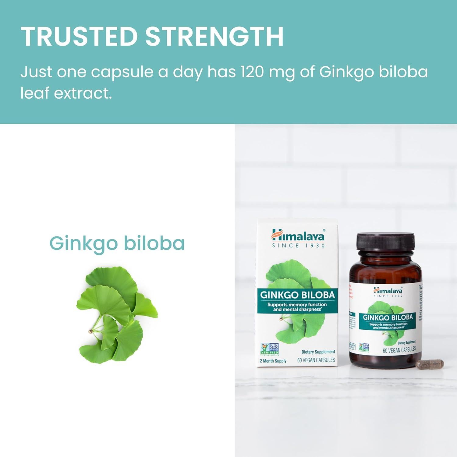 Suplemento Herbal Himalaya Ginkgo Biloba 120 mg 60 Cápsulas