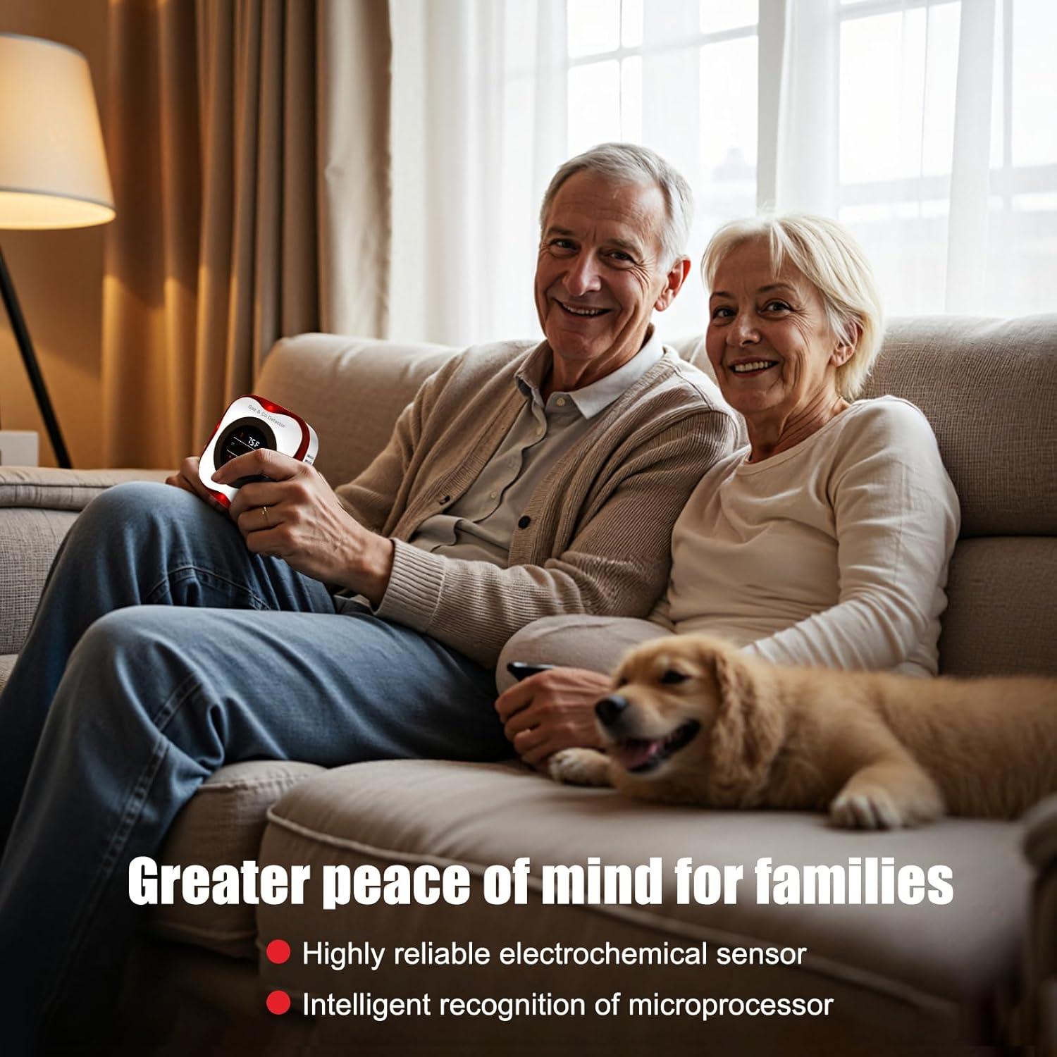 Detector de Gas y Monóxido de Carbono ARIKON 4 en 1 LCD