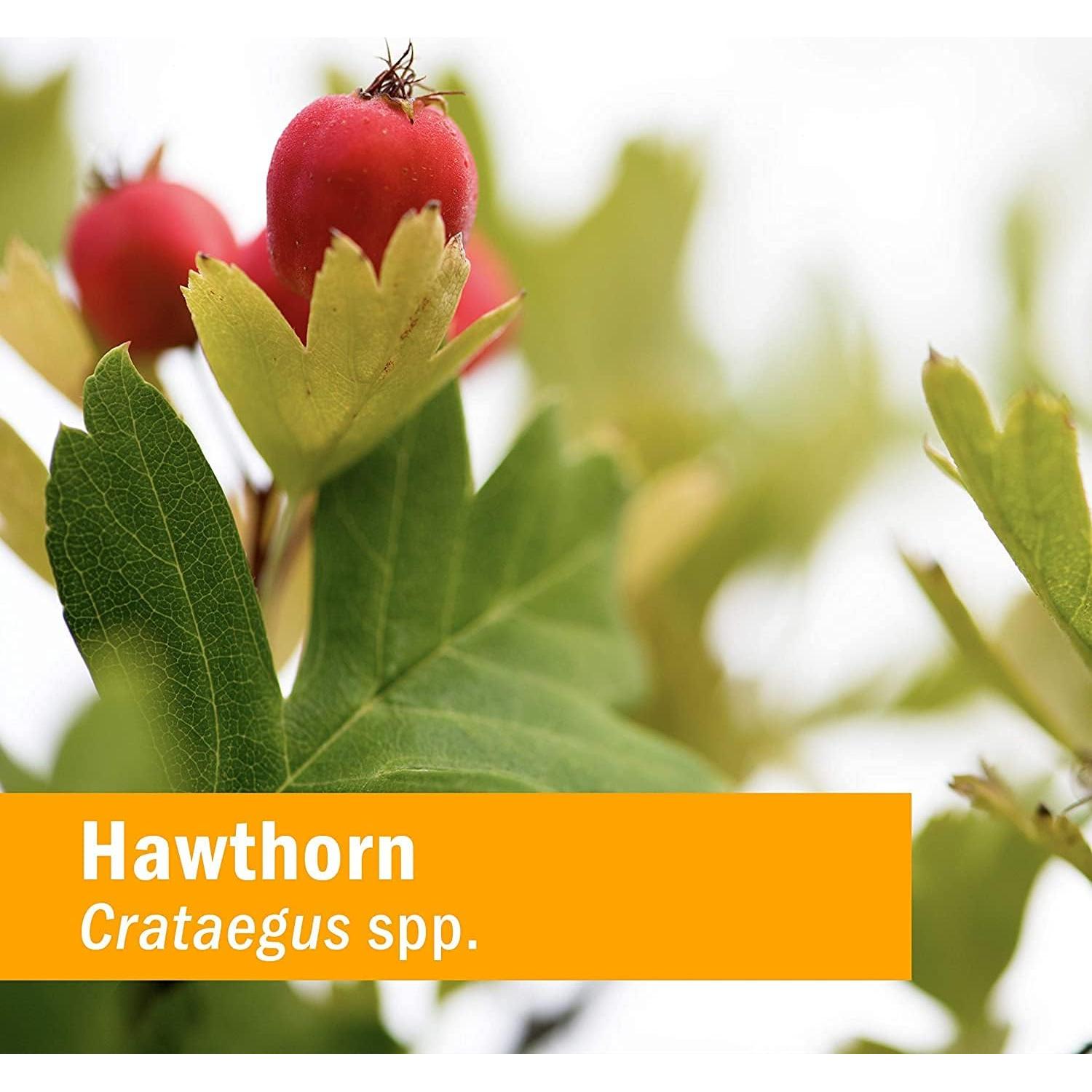 Extracto Líquido de Espino Herb Pharm 29.57 ml Orgánico