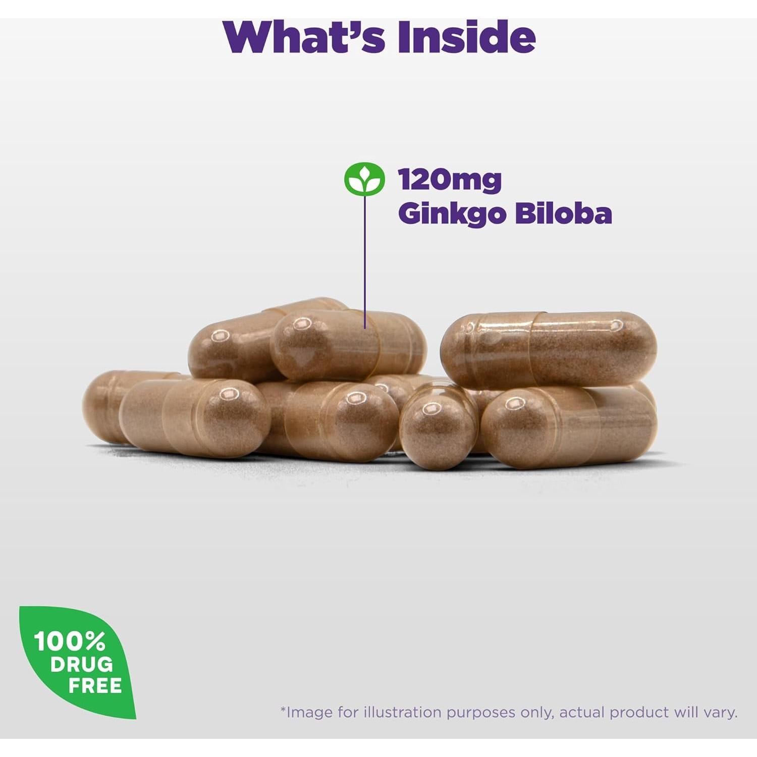 Suplemento Natrol Ginkgo Biloba 120mg 60 Cápsulas Salud Cerebral