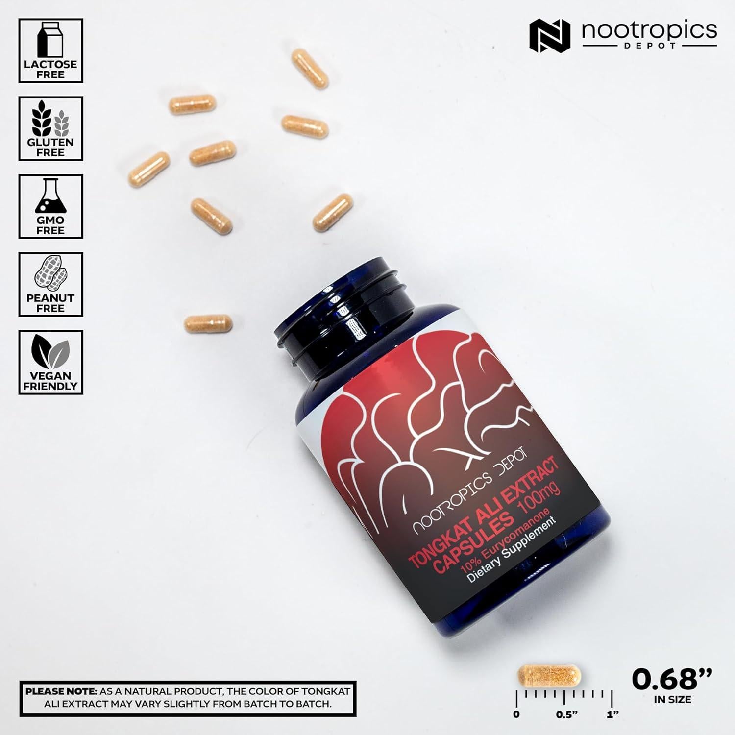 Cápsulas de Tongkat Ali Nootropics Depot 100mg 60 Unidades