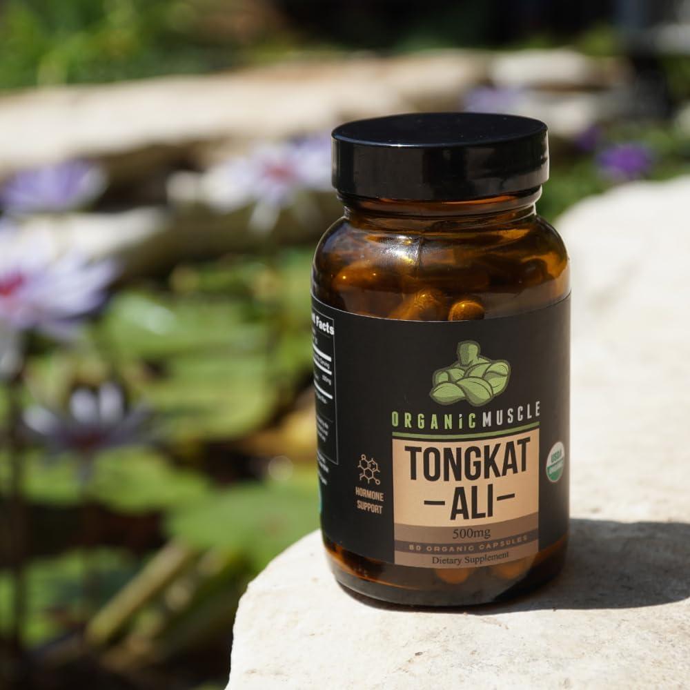 Suplemento Tongkat Ali Orgánico Musculo Orgánico 500mg 60 Cápsulas