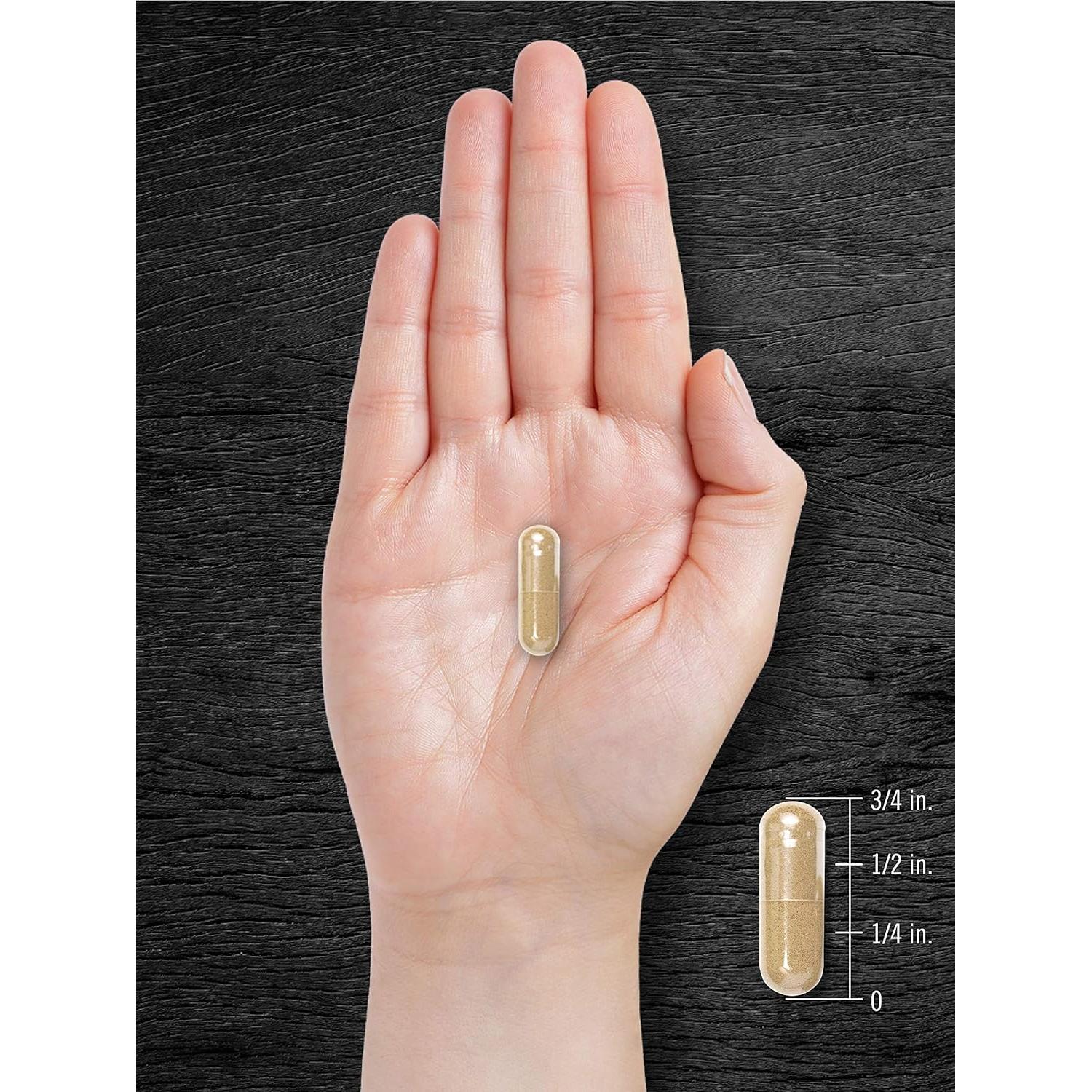 Suplemento de Pygeum Carlyle 1300mg - 240 Cápsulas Rápidas